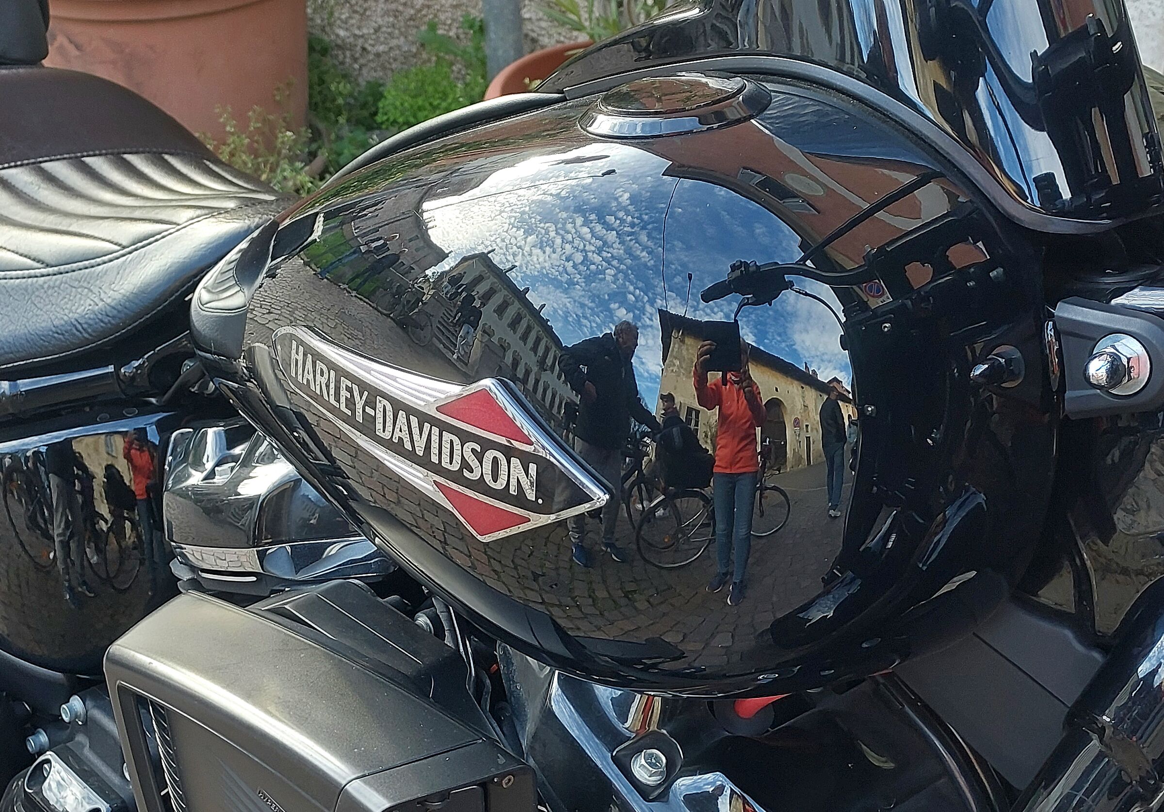 Nella pancia....di Harley