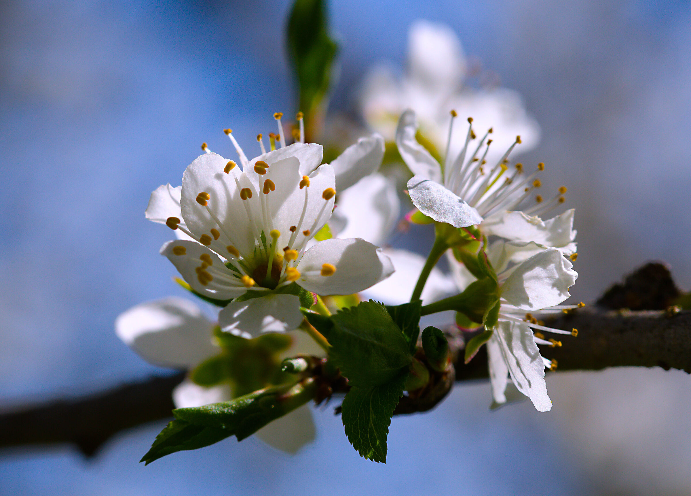 Aria di primavera...