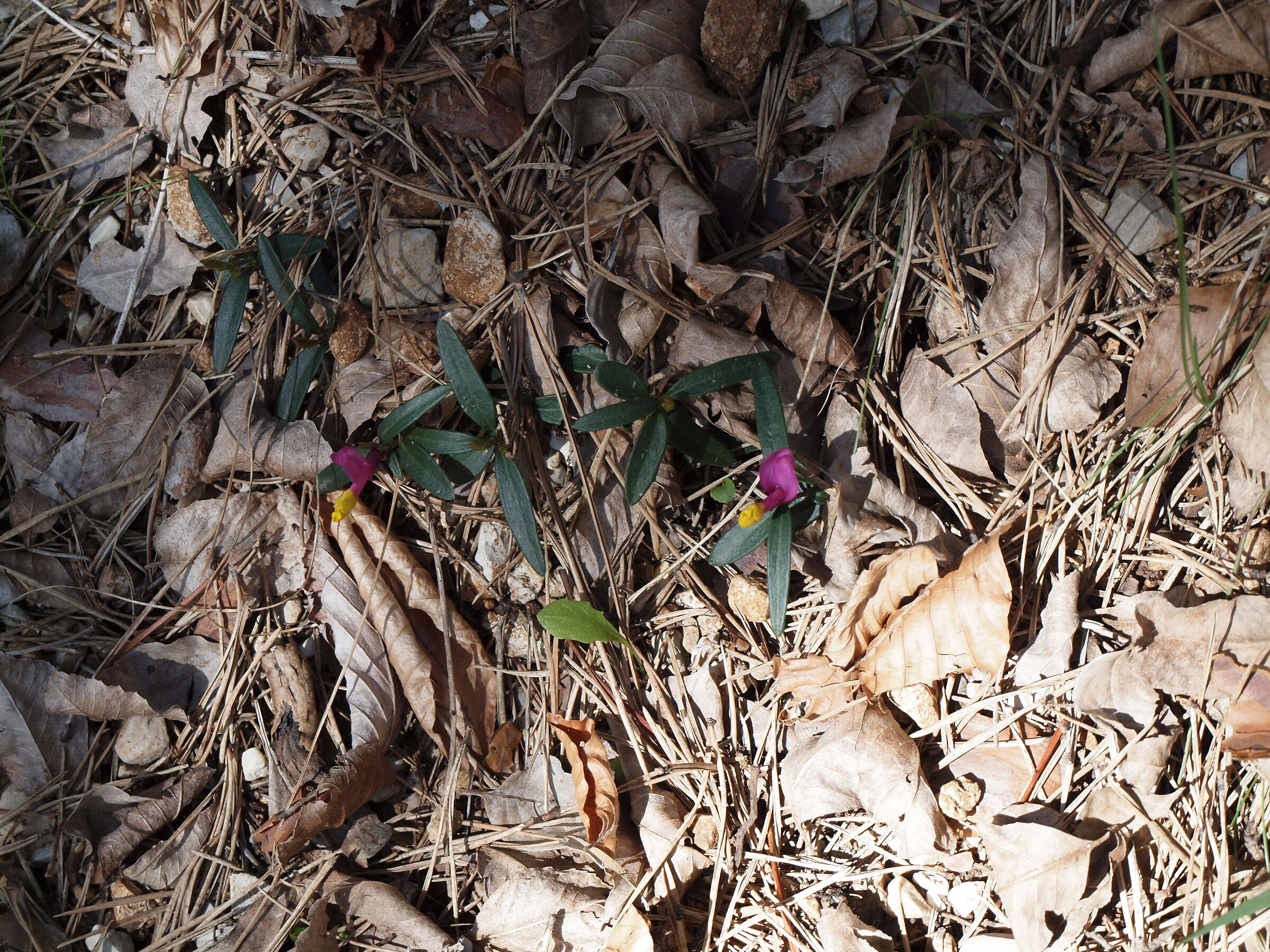 Untitled Photo