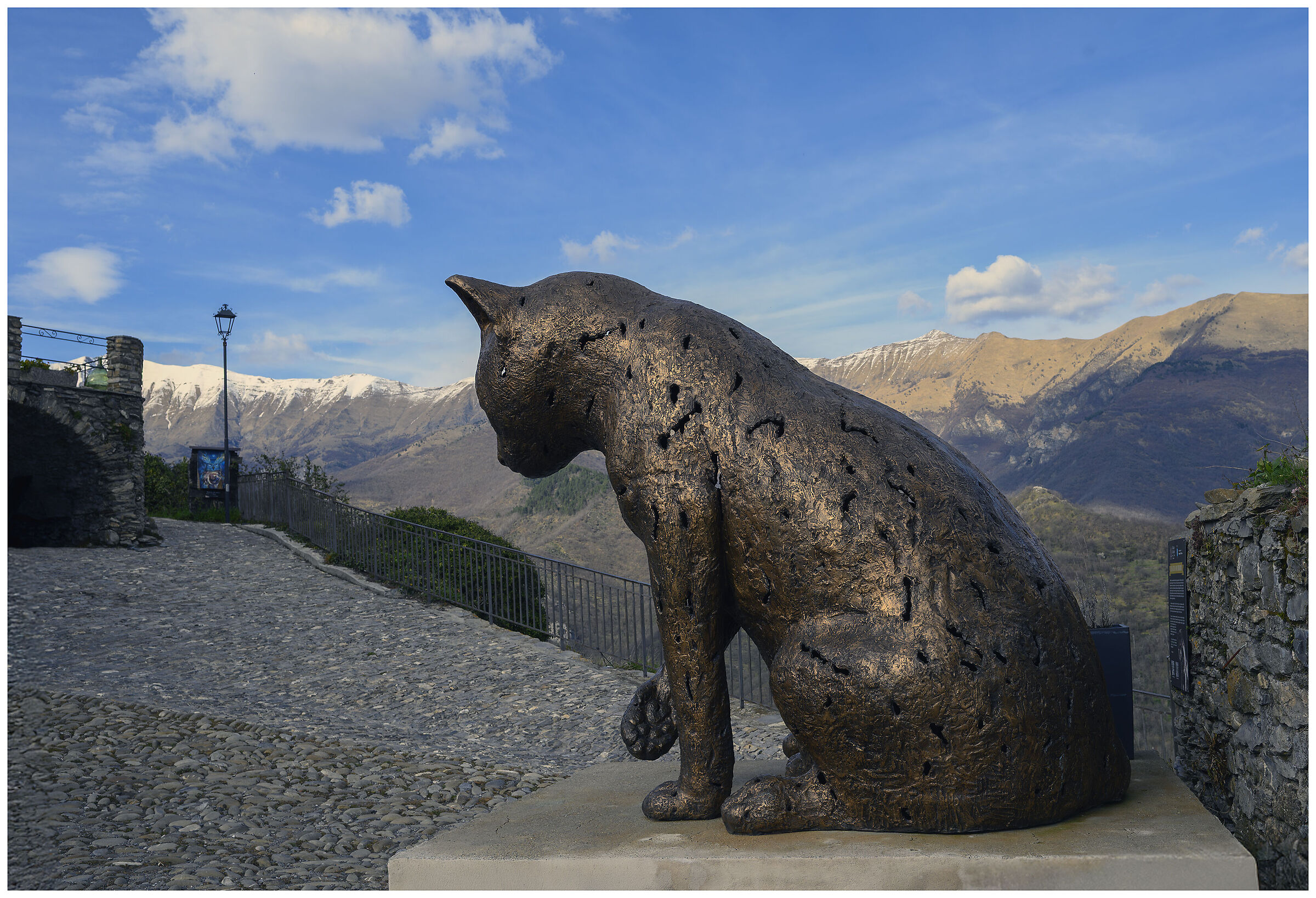 Gatto gigante2