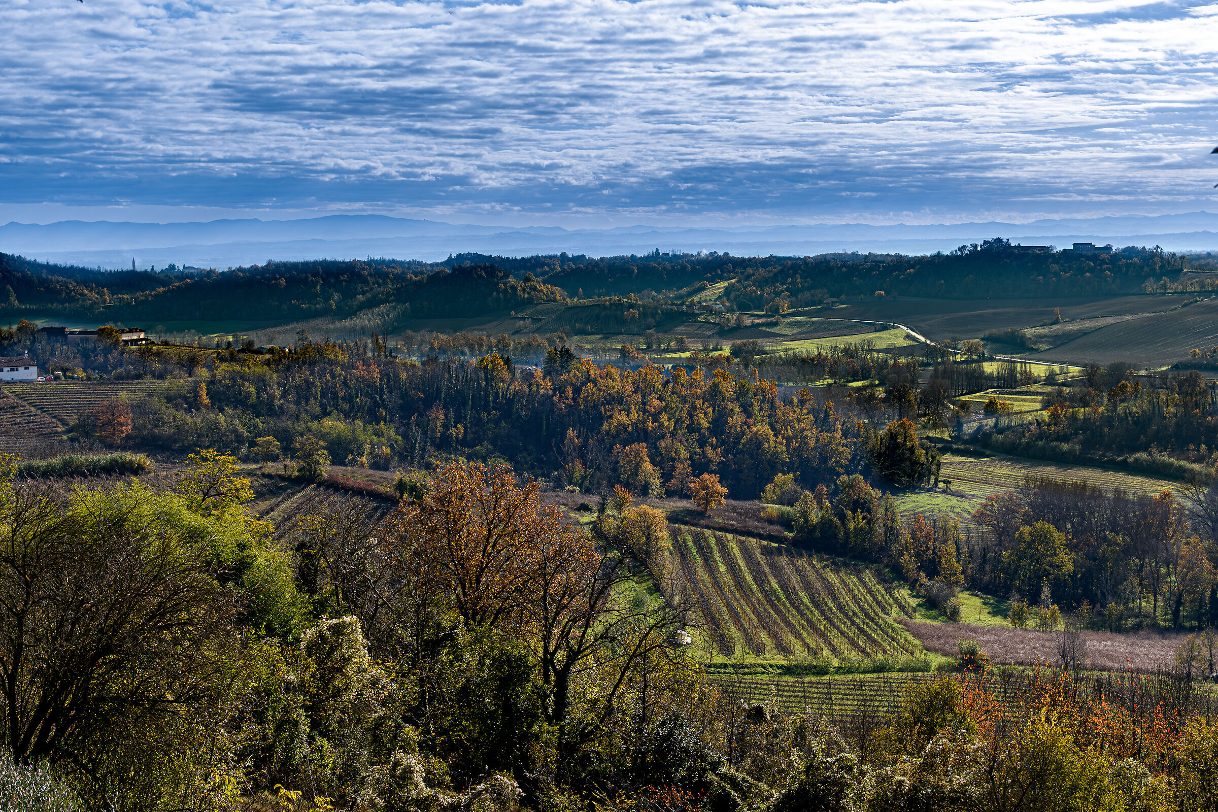 Glimpse of Monferrato