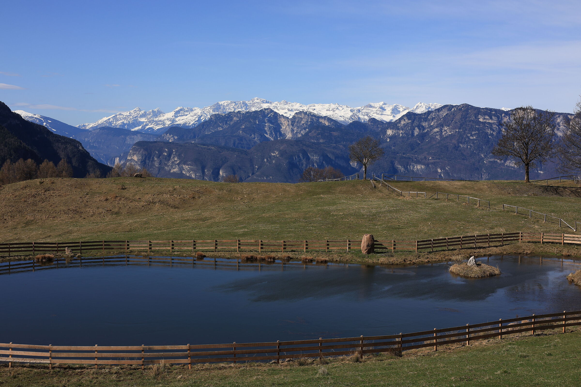 Brenta da Malga Cislon