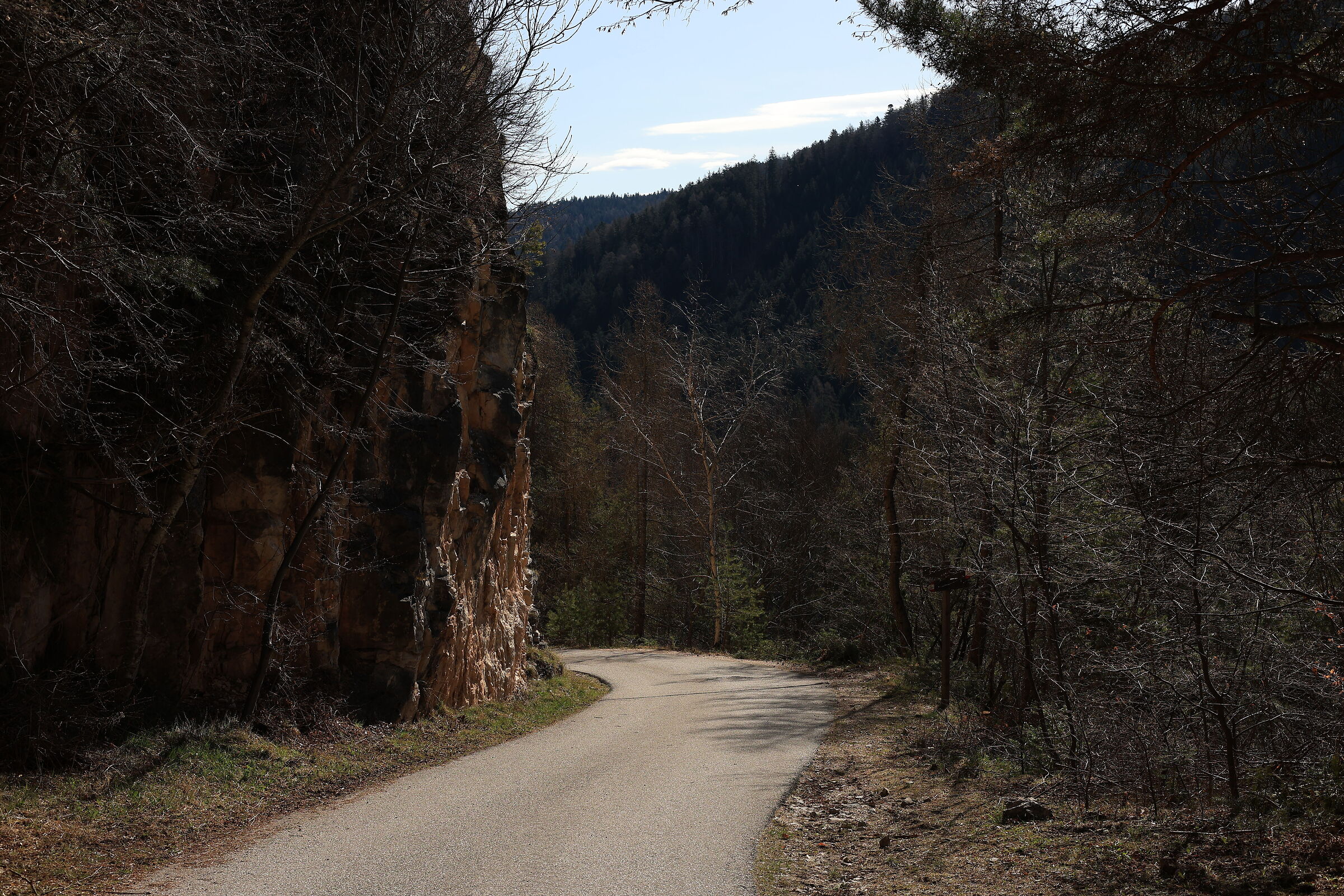 Path to Malga Cislon