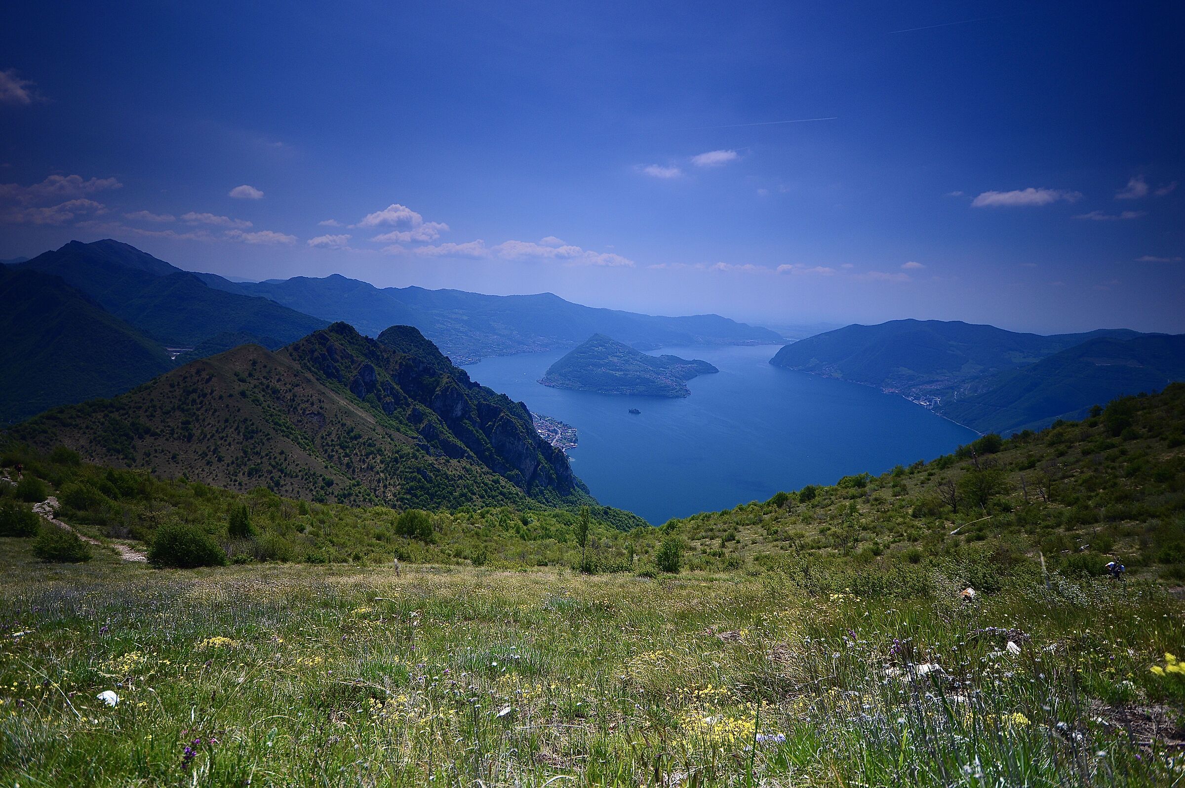 First blooms (antlers thirty steps Zone BS)