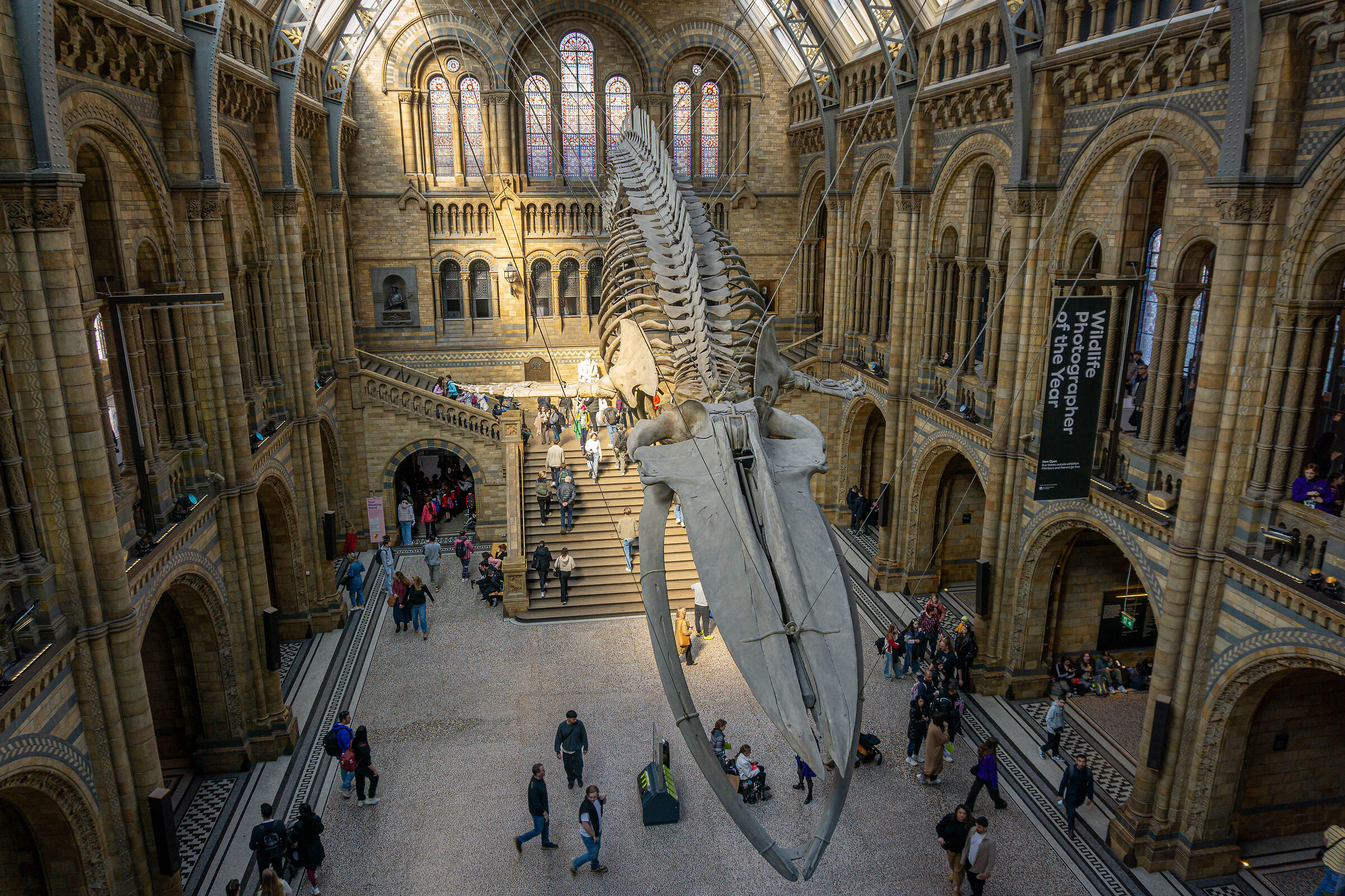Natural History Museum - Londra