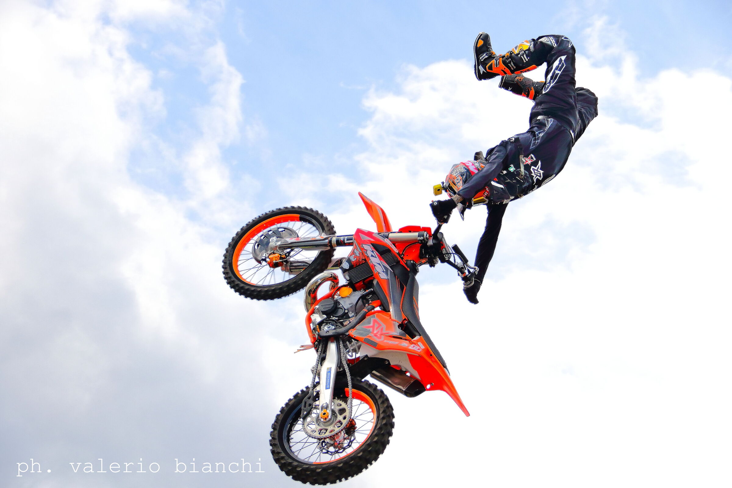 Free Style