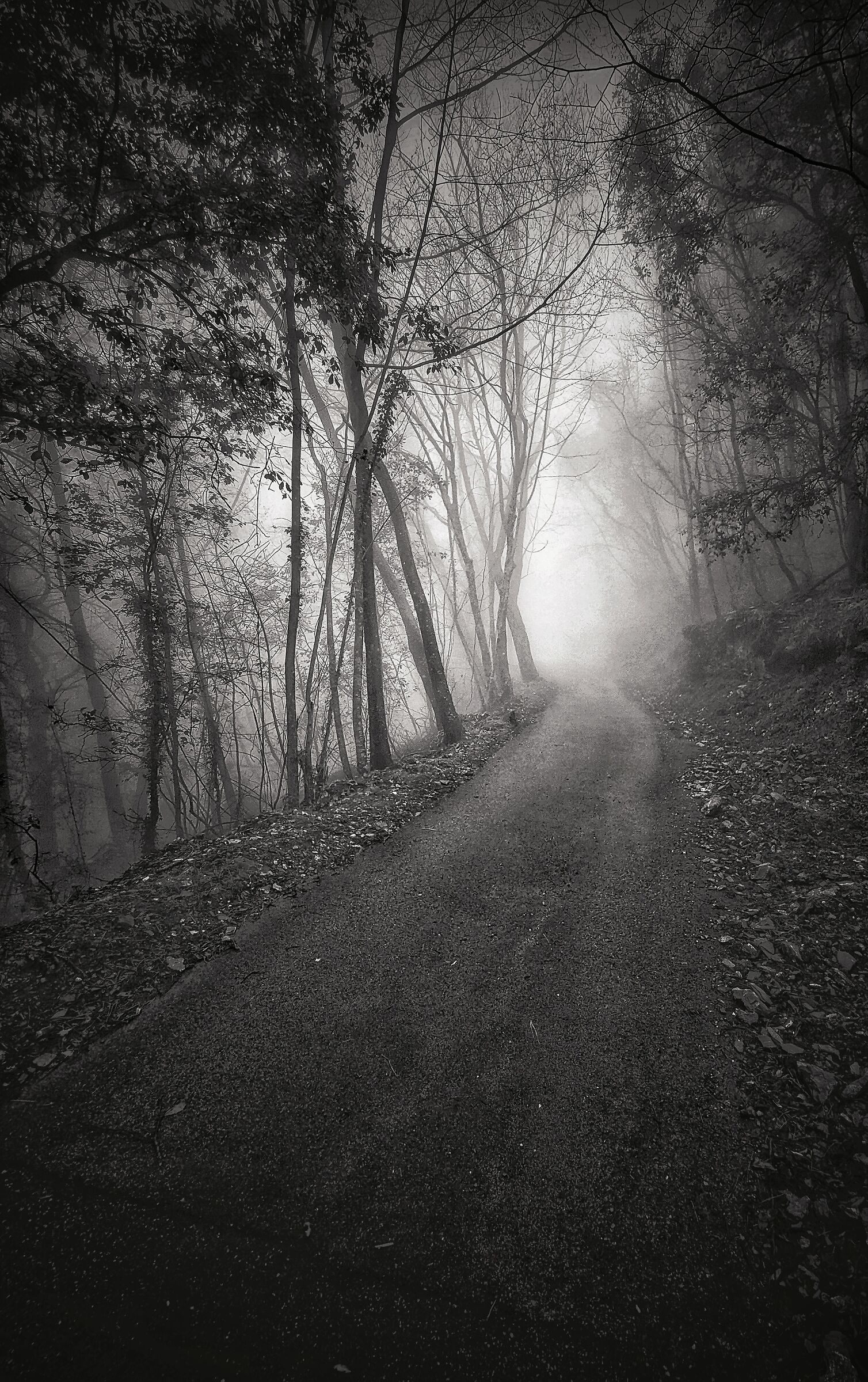 Misty
