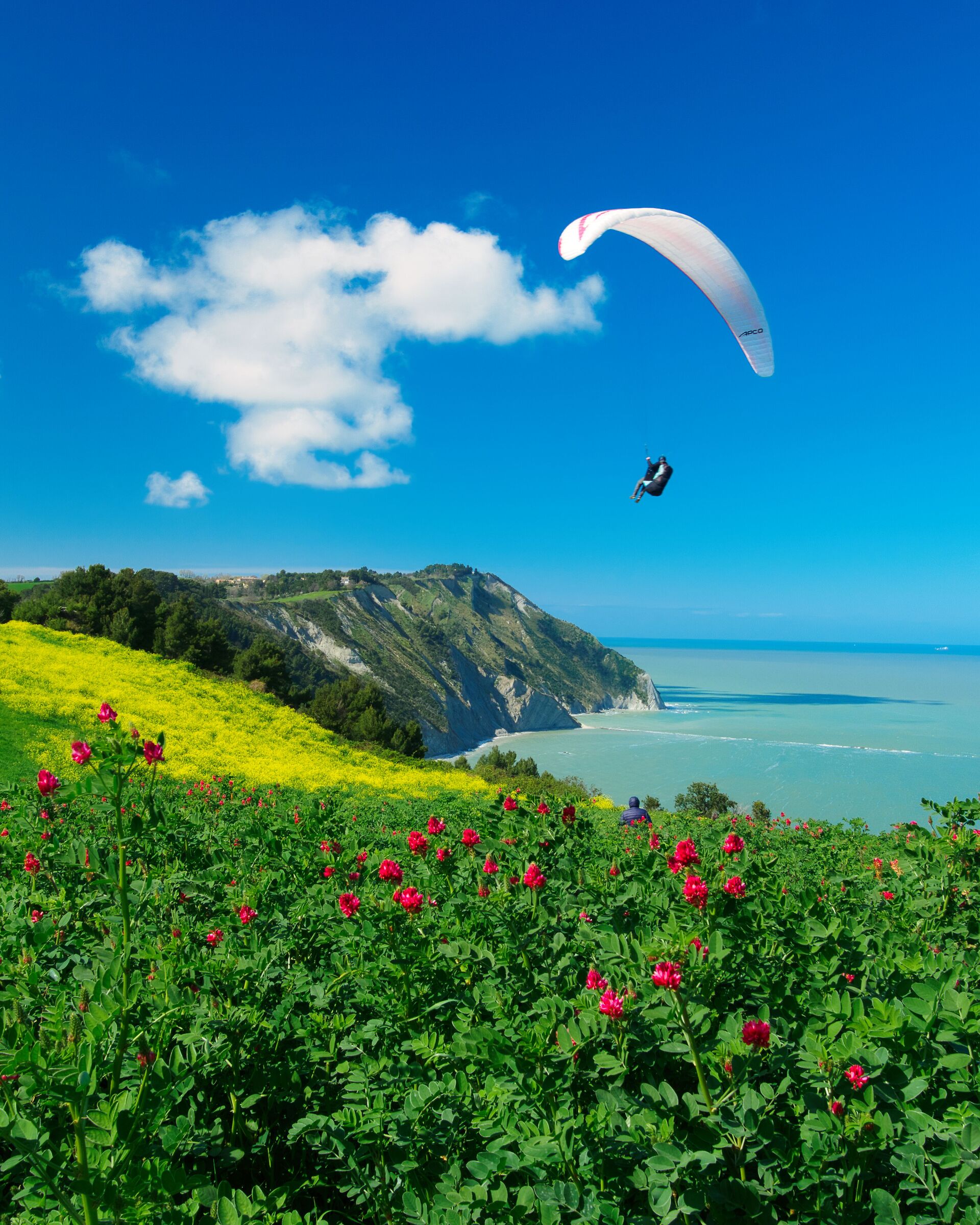 "A parapenculo!" quoted by a friend of mine