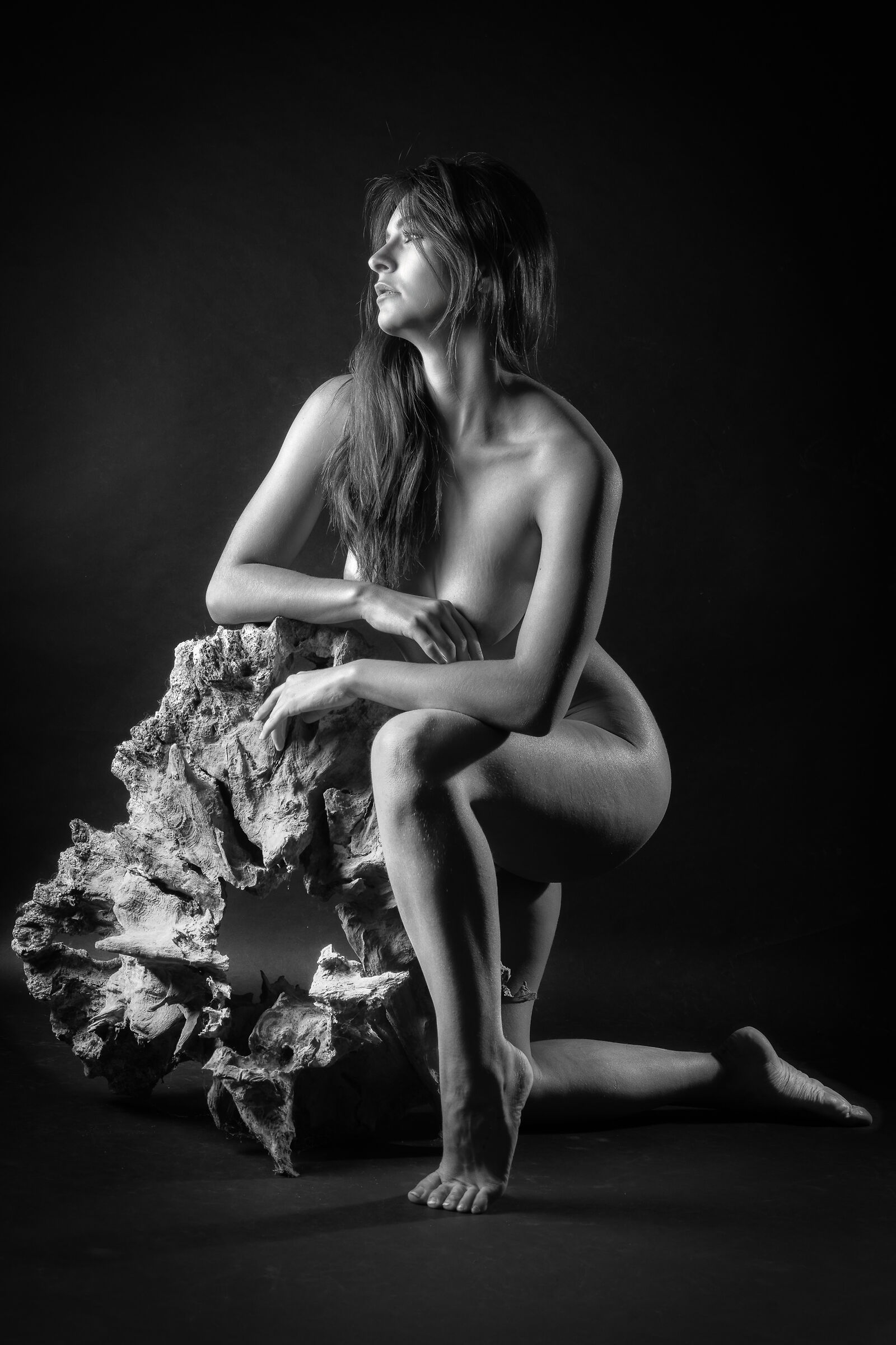 Dafne 4