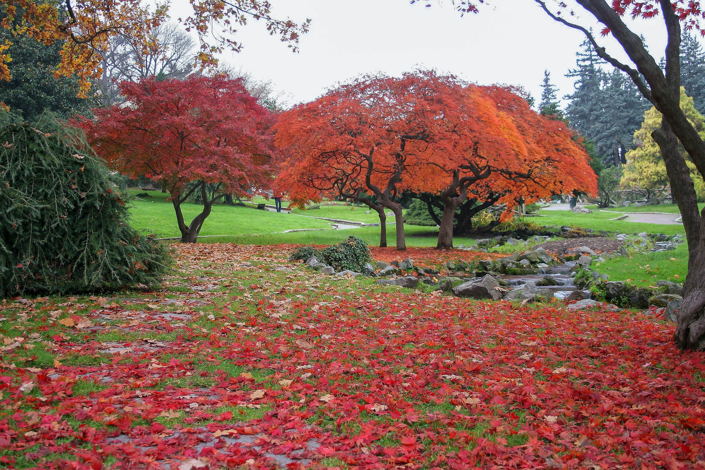 parco del valentino