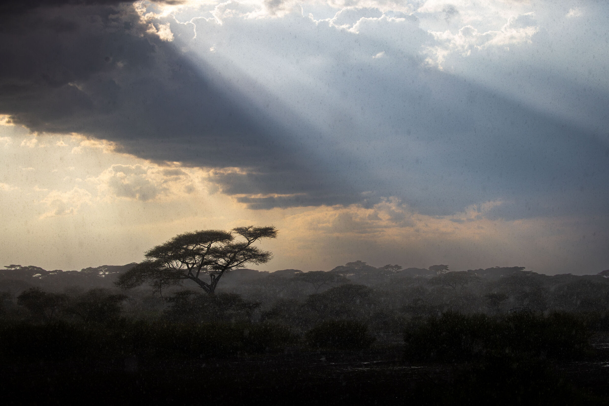 Sun and rain in the African bush
