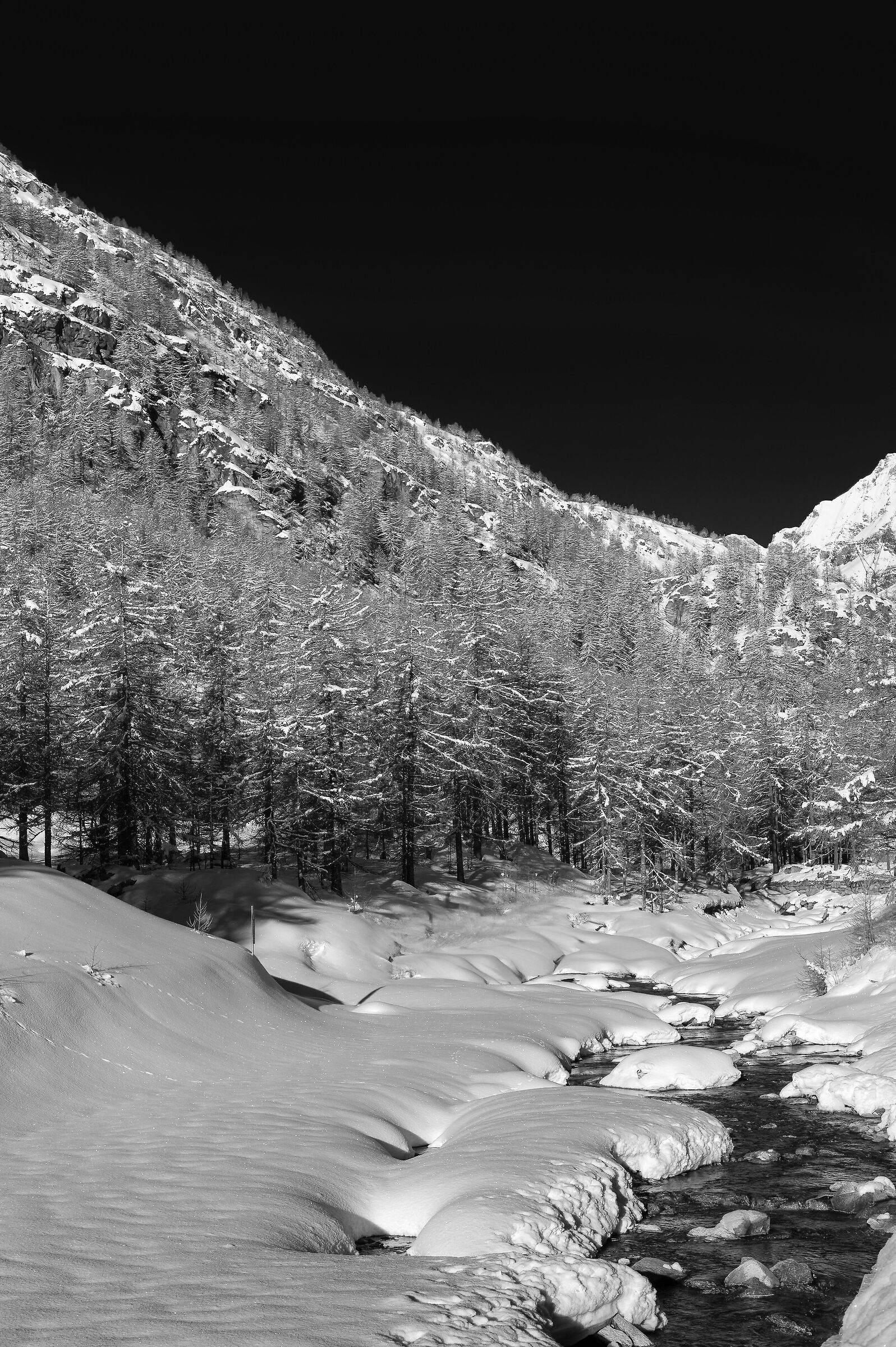 Gran Paradiso National Park - Piedmont