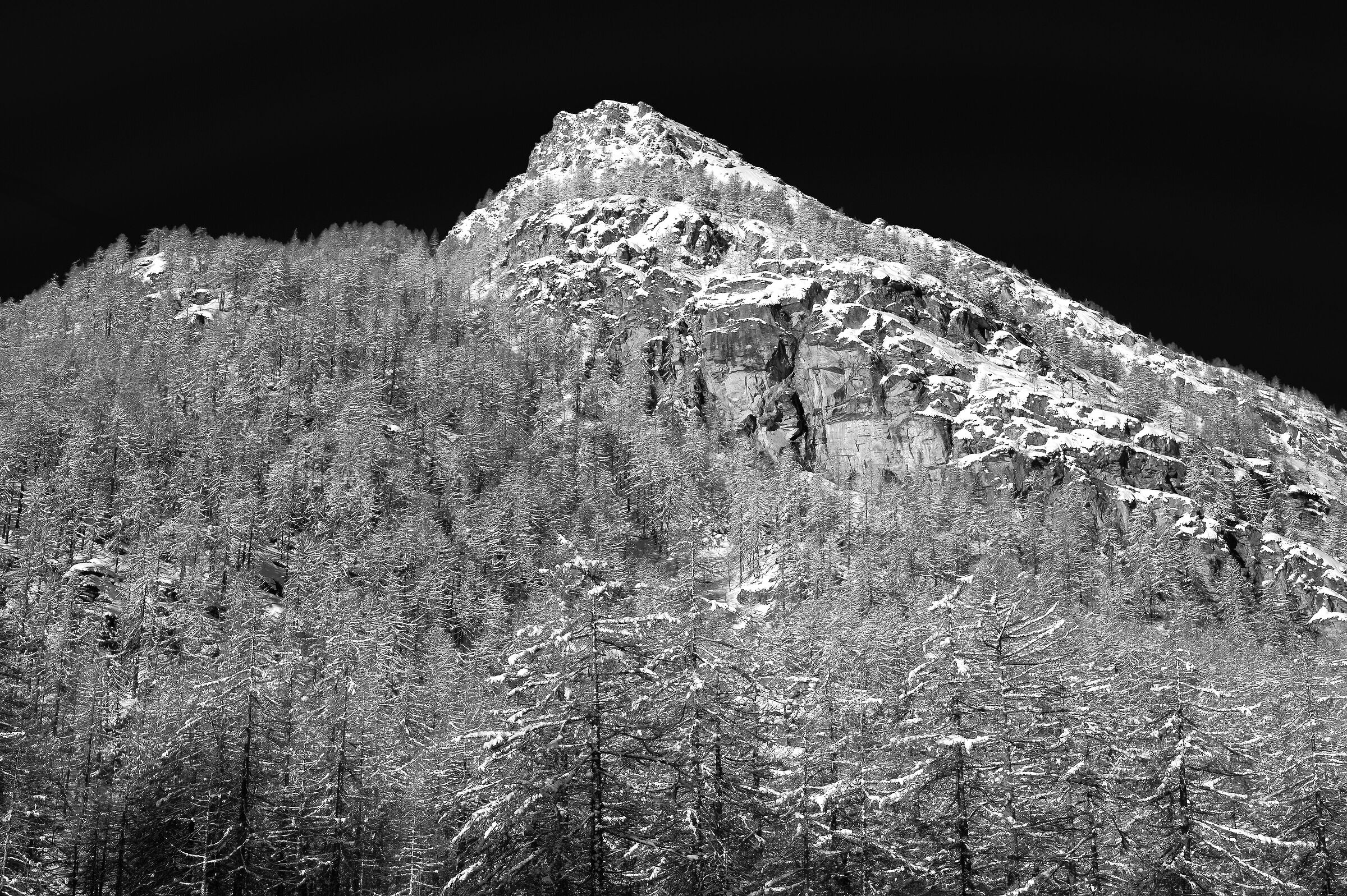 Gran Paradiso National Park - Piedmont