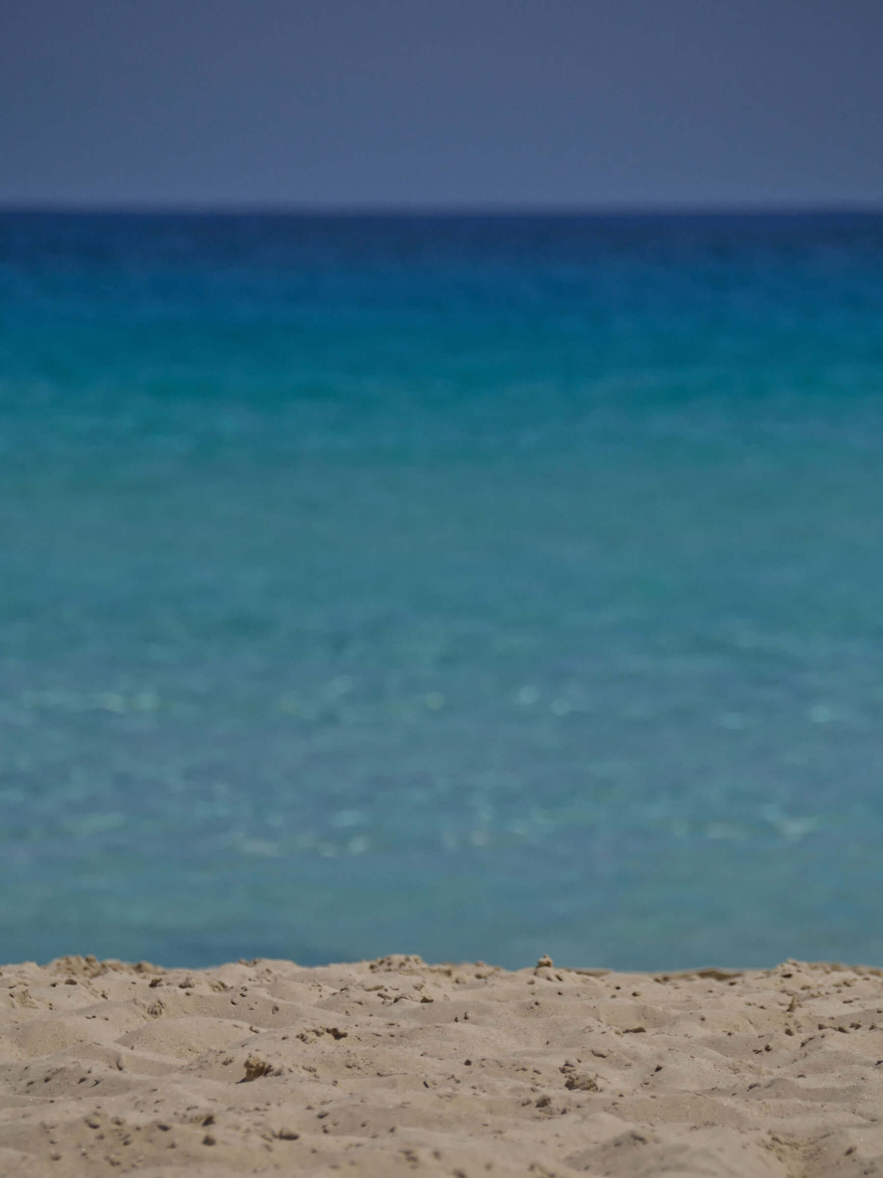 EL ALAMEIN_2014 (_DSC3446-1)