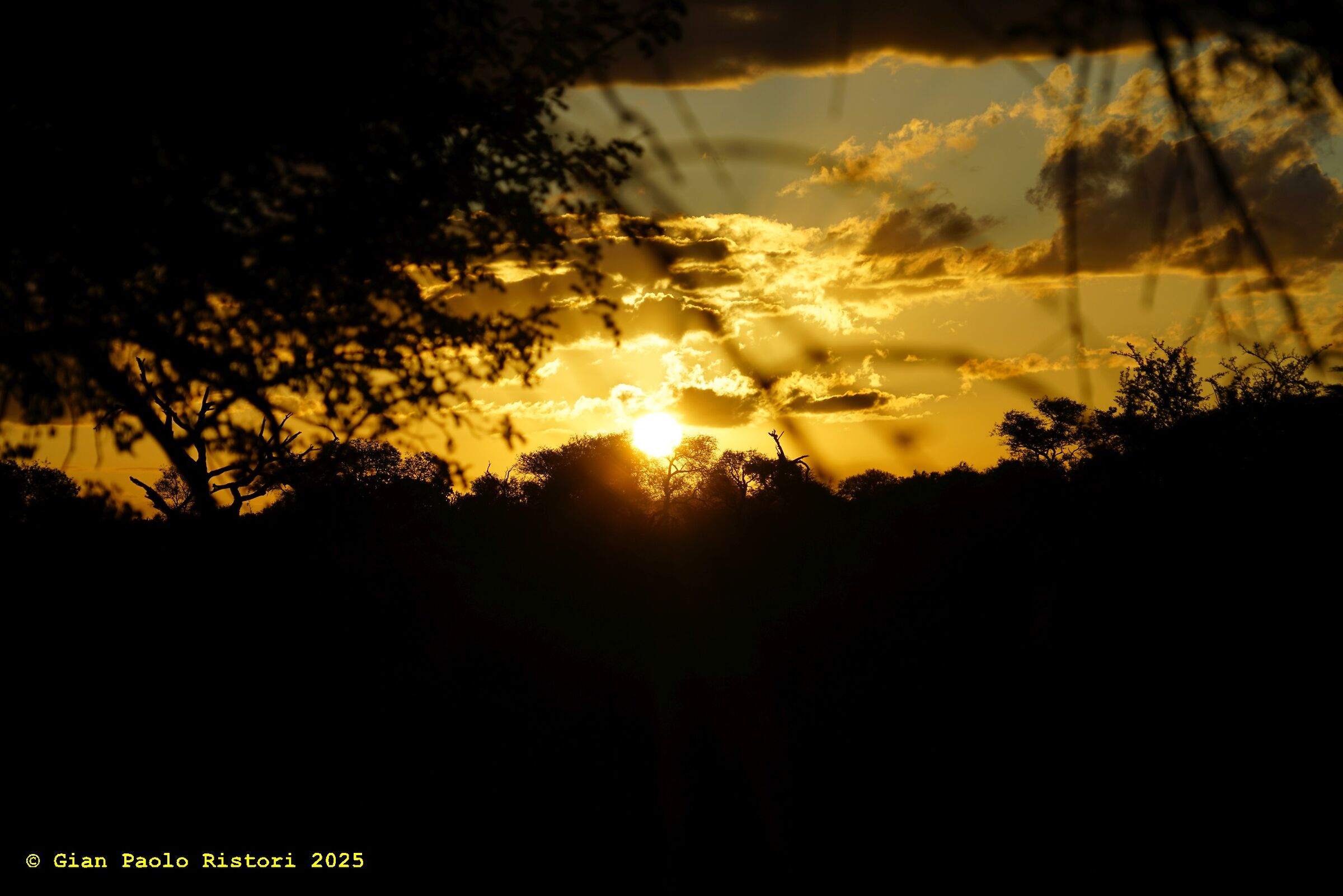 African sunset