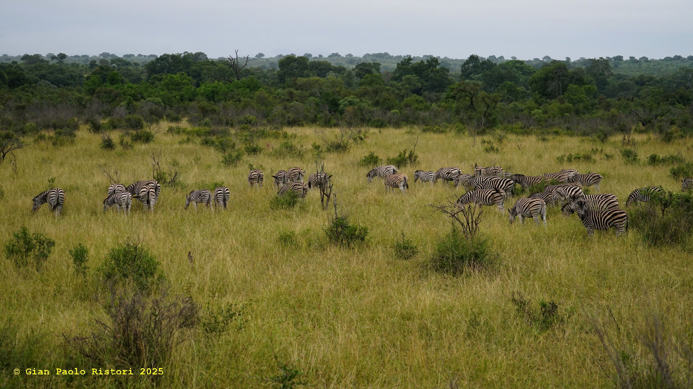 Sunrise at the Kruger National Park