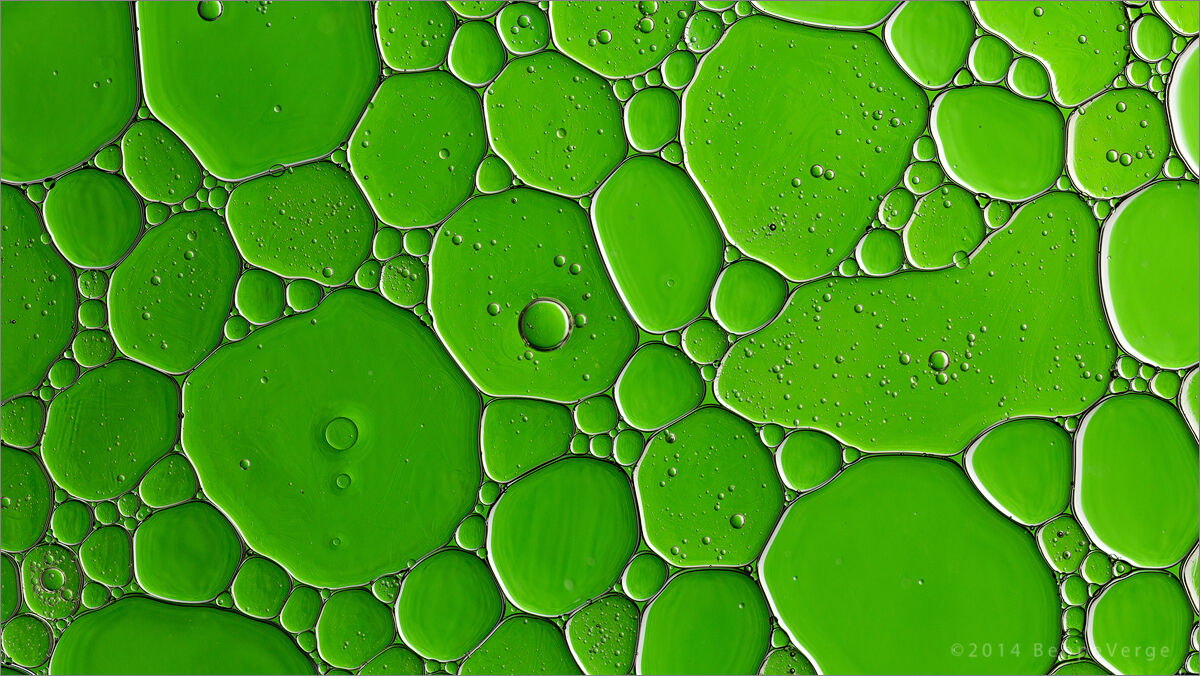 Oil & Water
