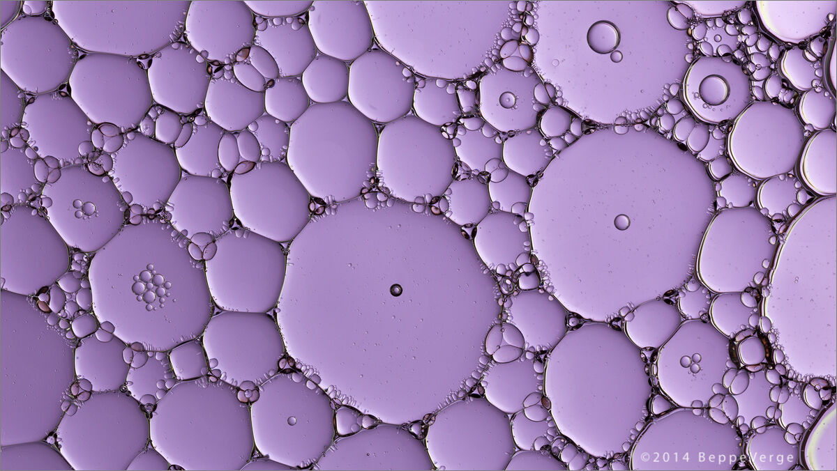 Oil & Water