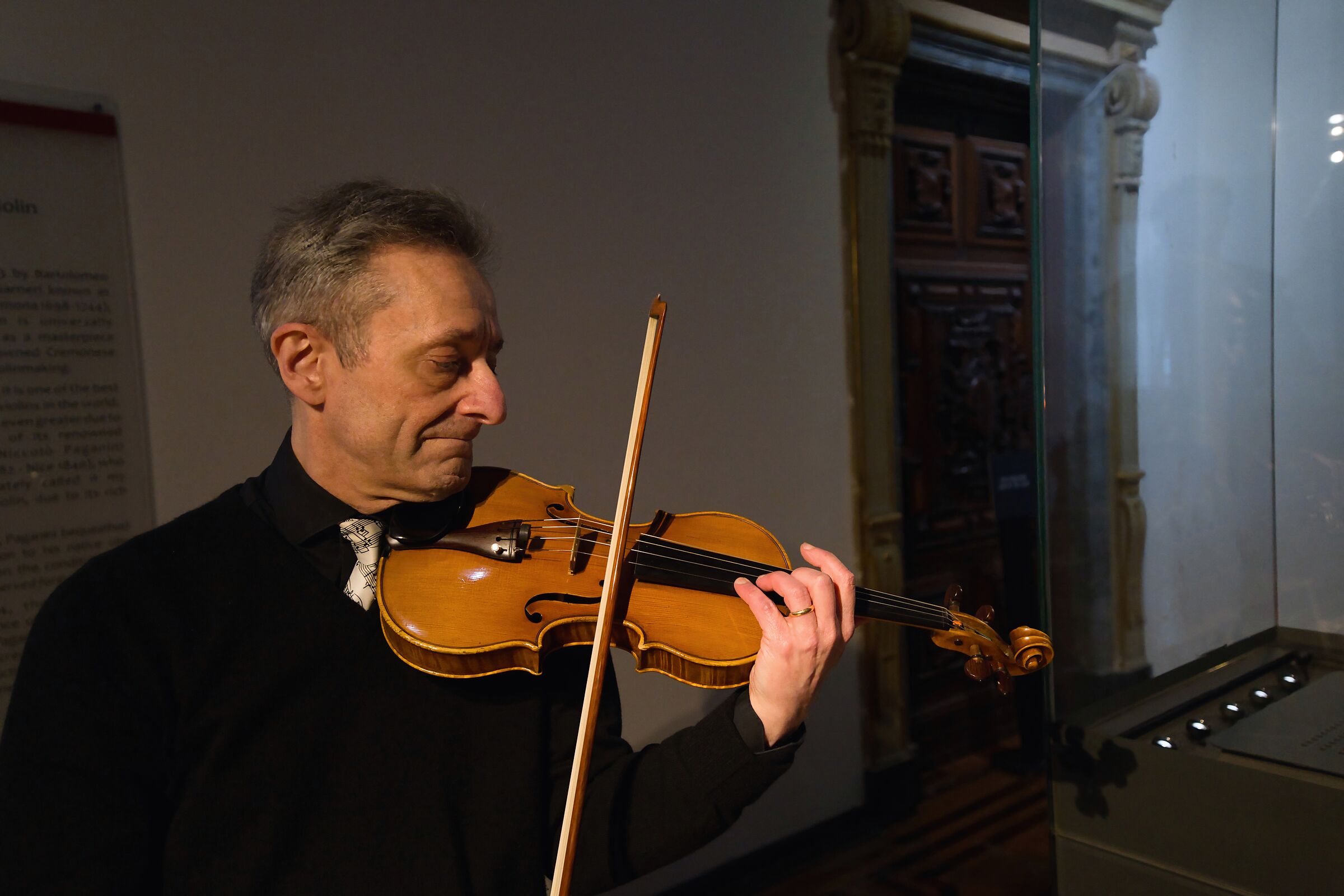 Sviolinata del maestro