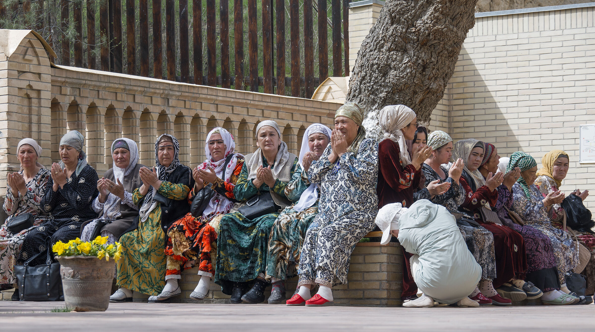 Uzbekistan 2025 - Samarcanda (58)