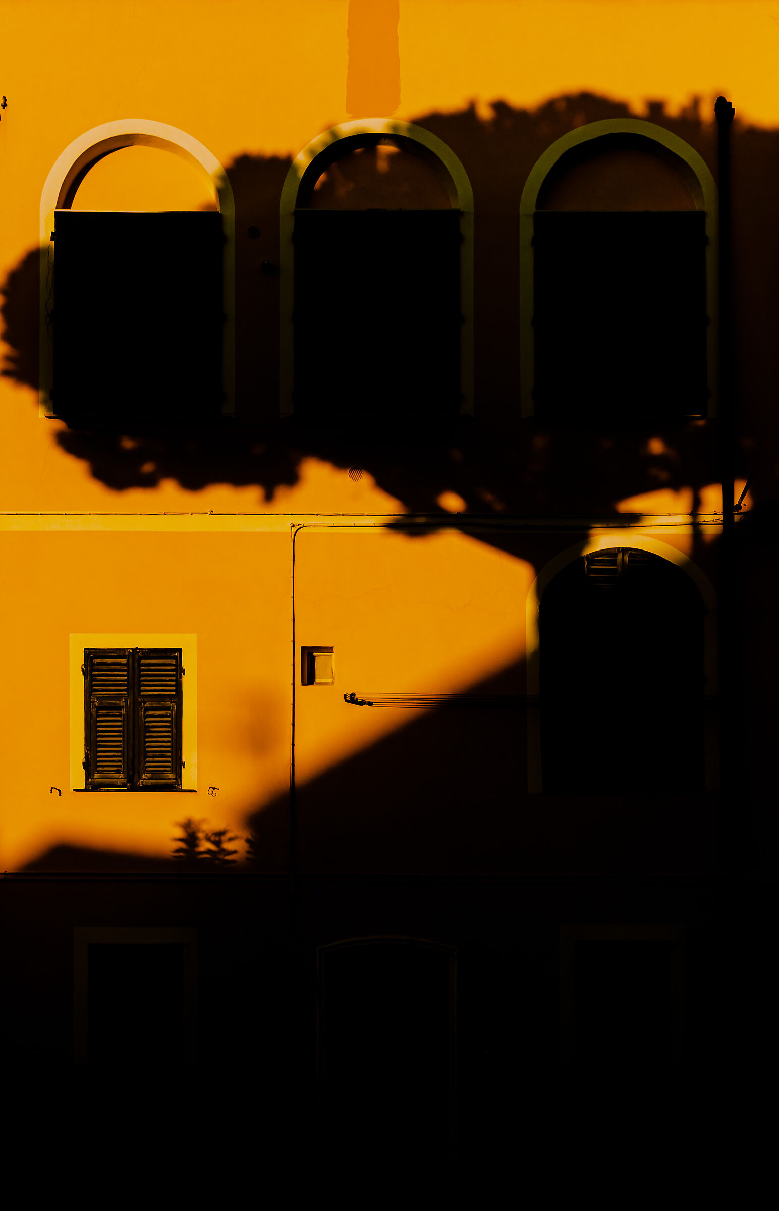 Untitled Photo