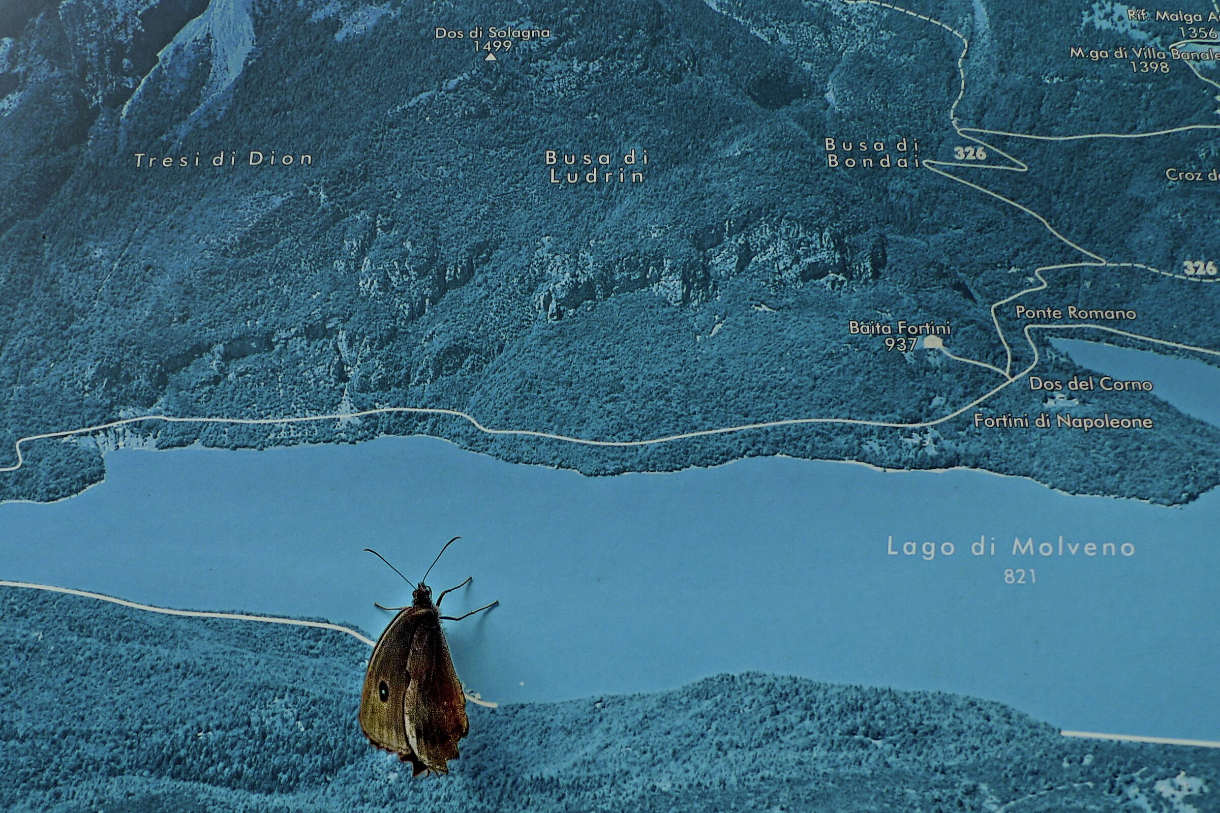 ... and this is myooo