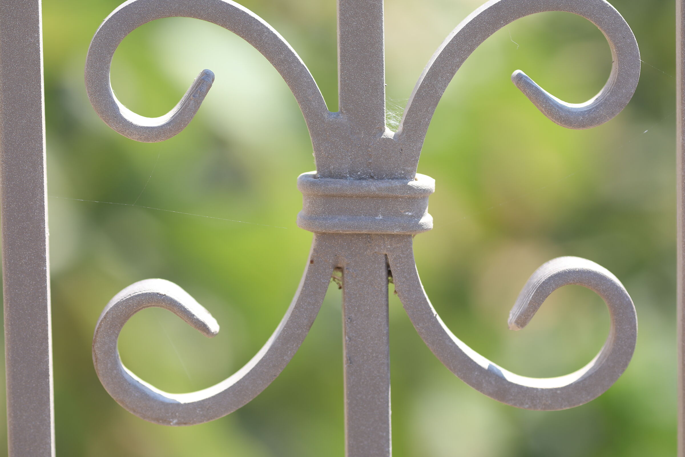 " Crop 189 " Canon 5 D IV, 125 F. 2 L Usm+TC 1.4x ...