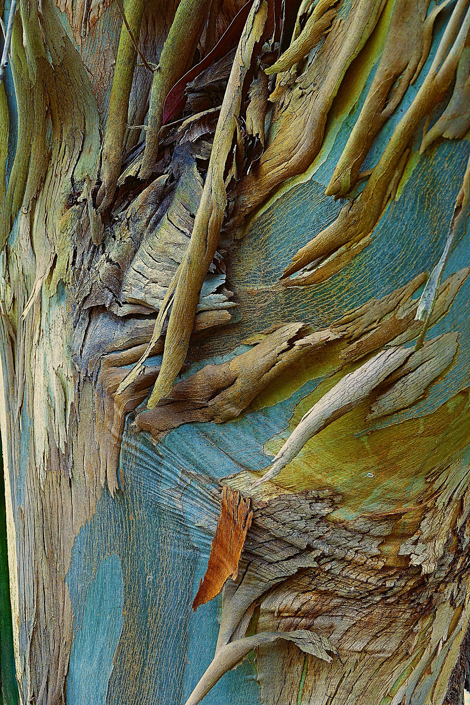 Book of Layers