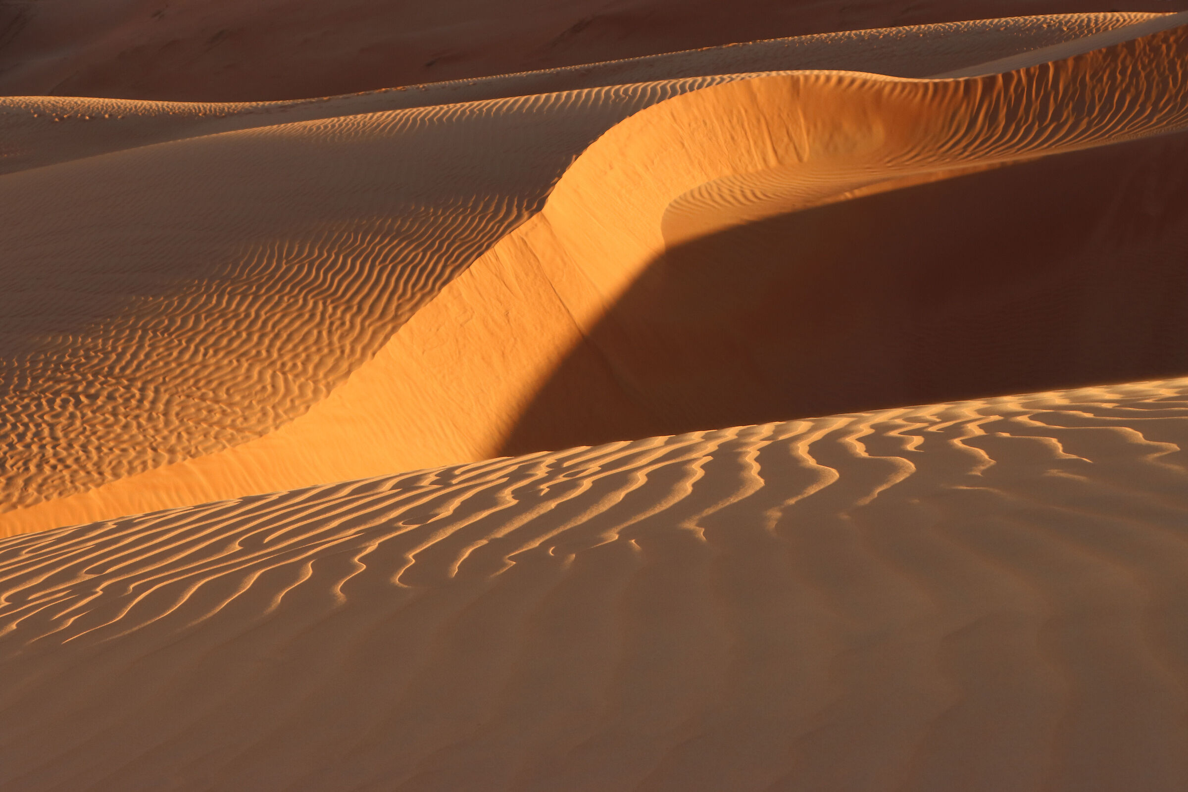 Magical dunes at sunset