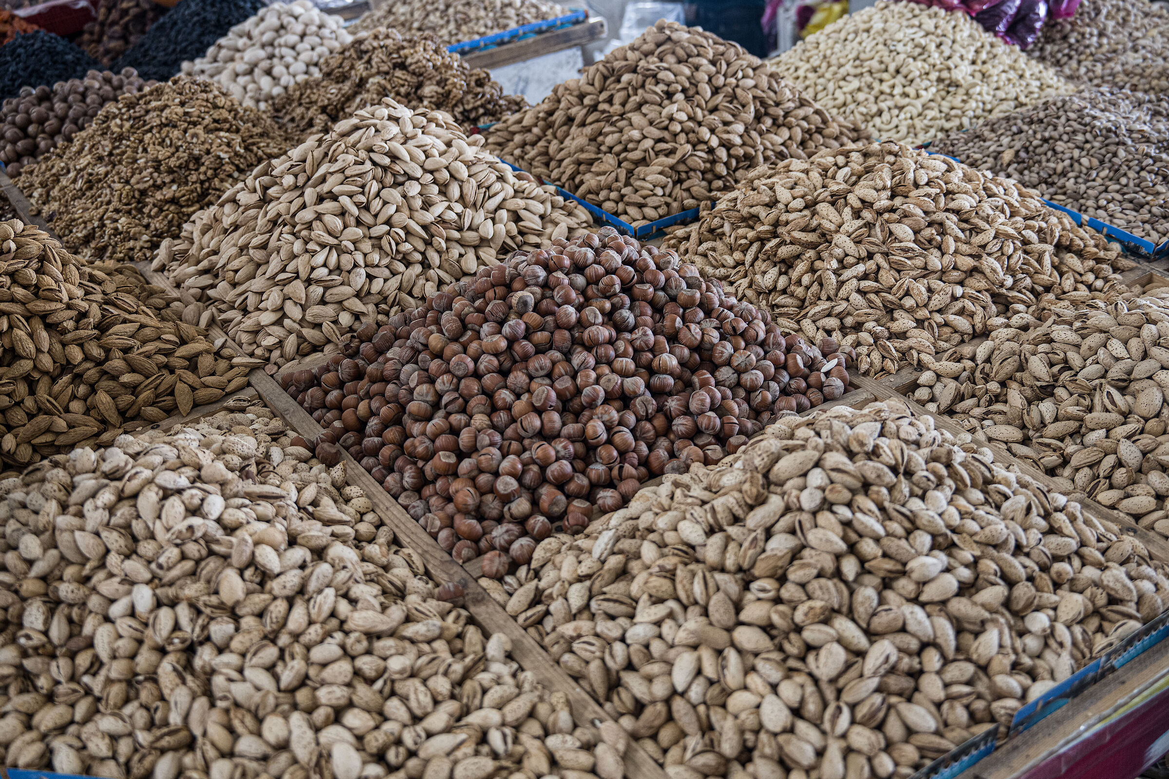 Uzbekistan 2025 - Tashkent (15)