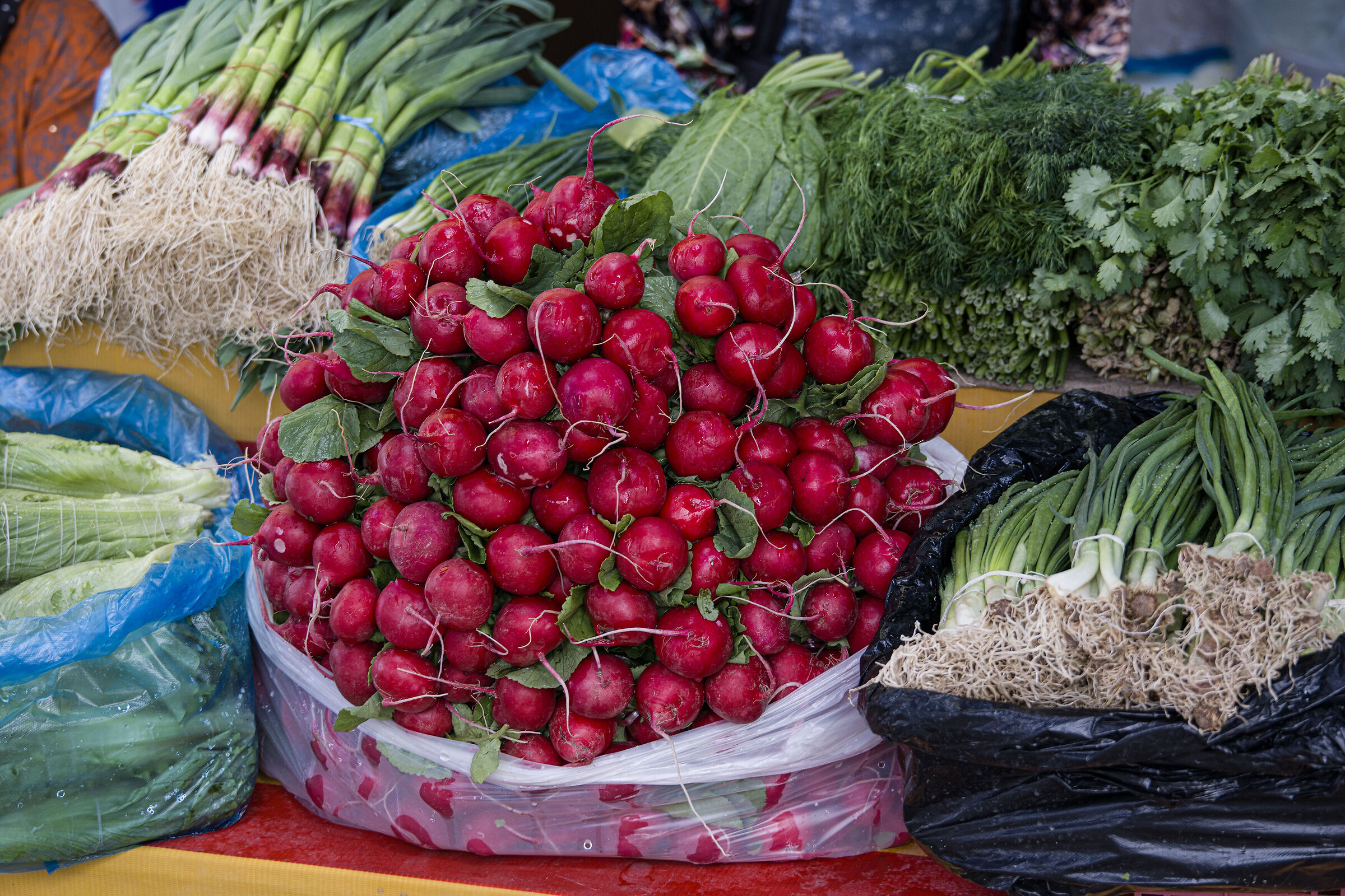 Uzbekistan 2025 - Tashkent (18)