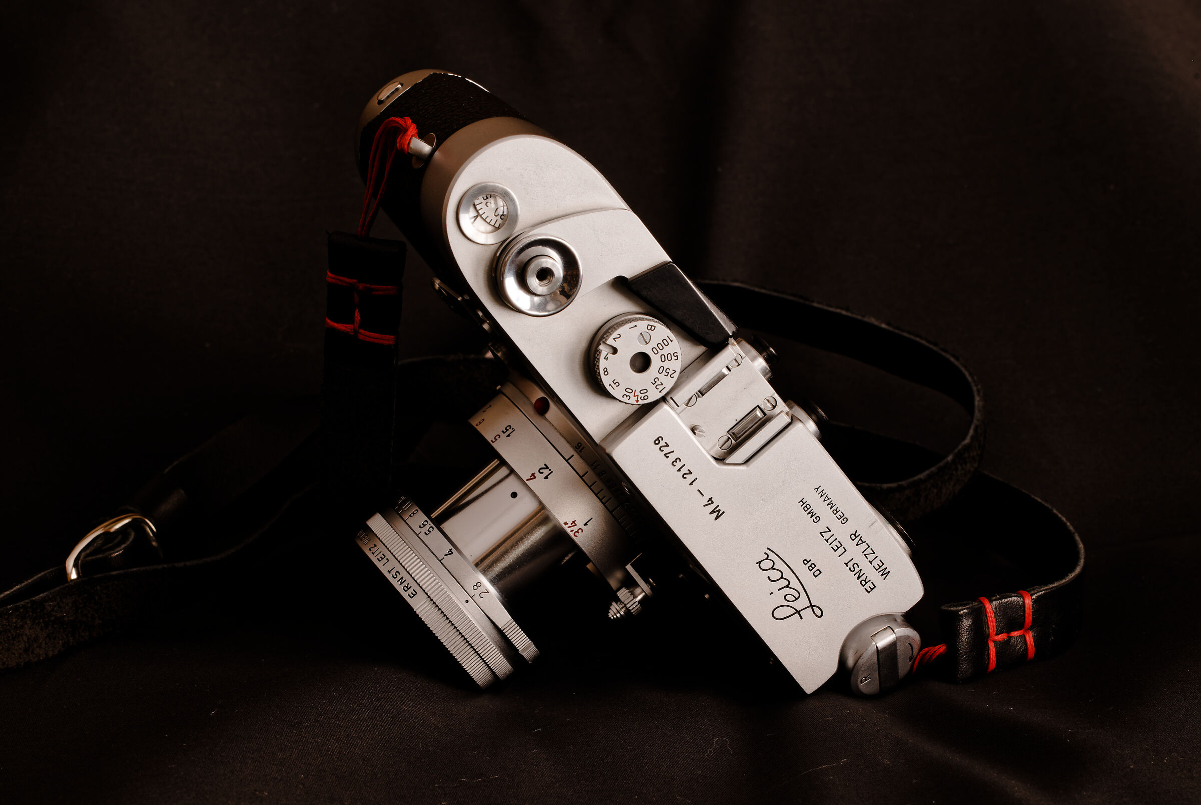 Ritratto di signora di mezza età 1