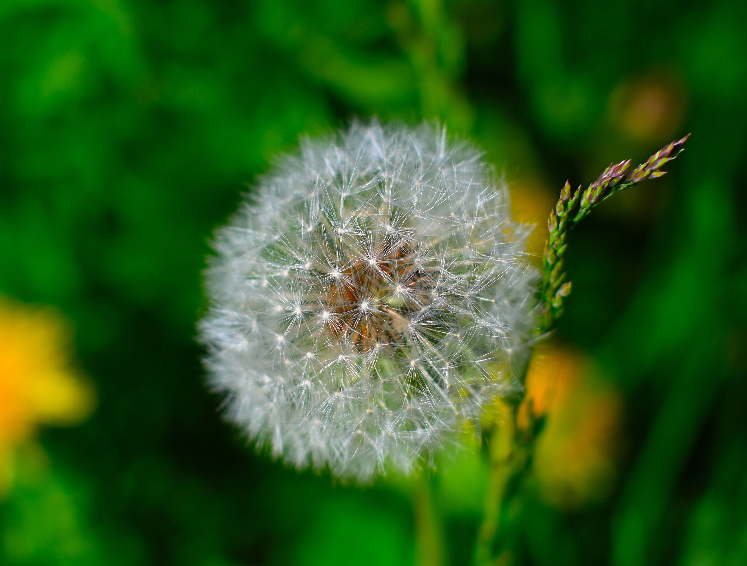 Untitled Photo