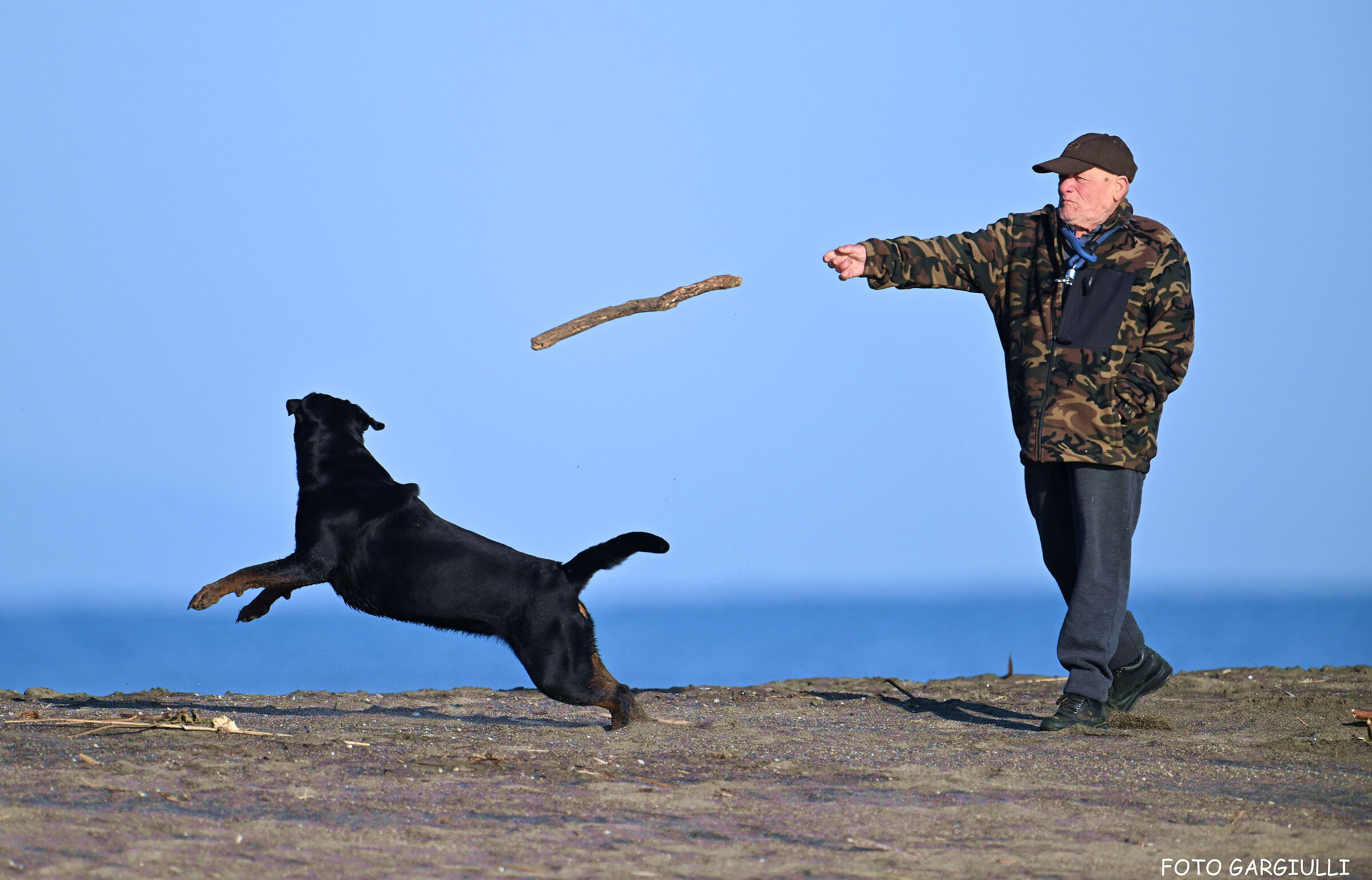 The old man and the dog