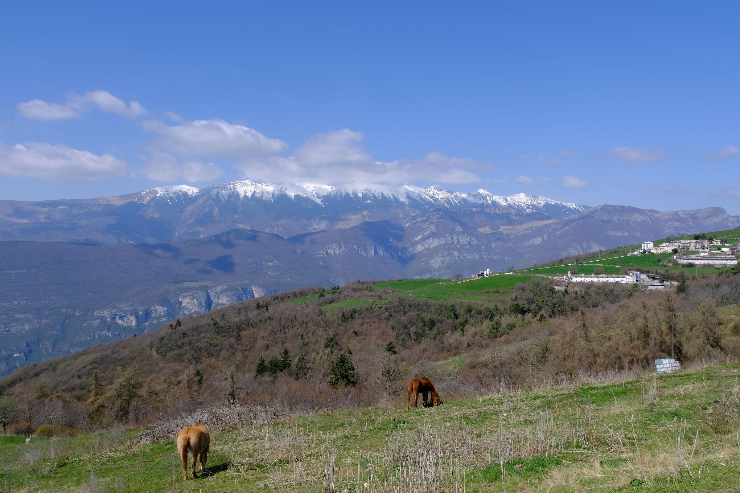 Monte Baldo seen from Fosse.