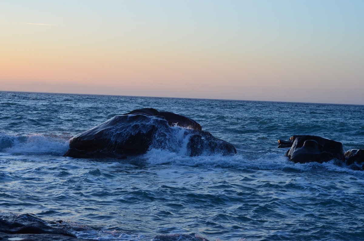 mare e scogli