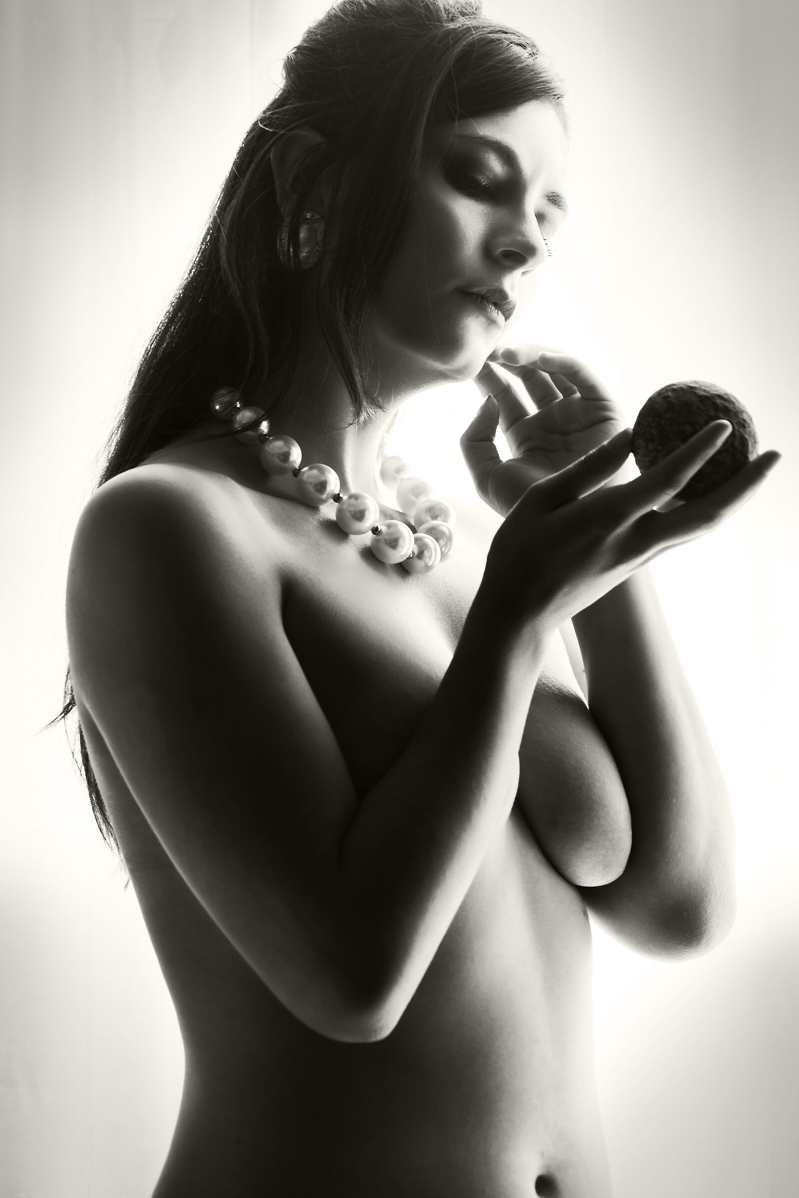 Dafne 17