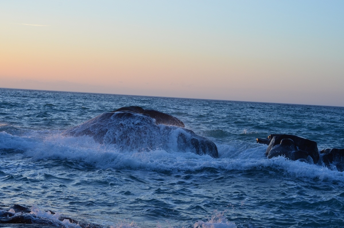 mare e scogli