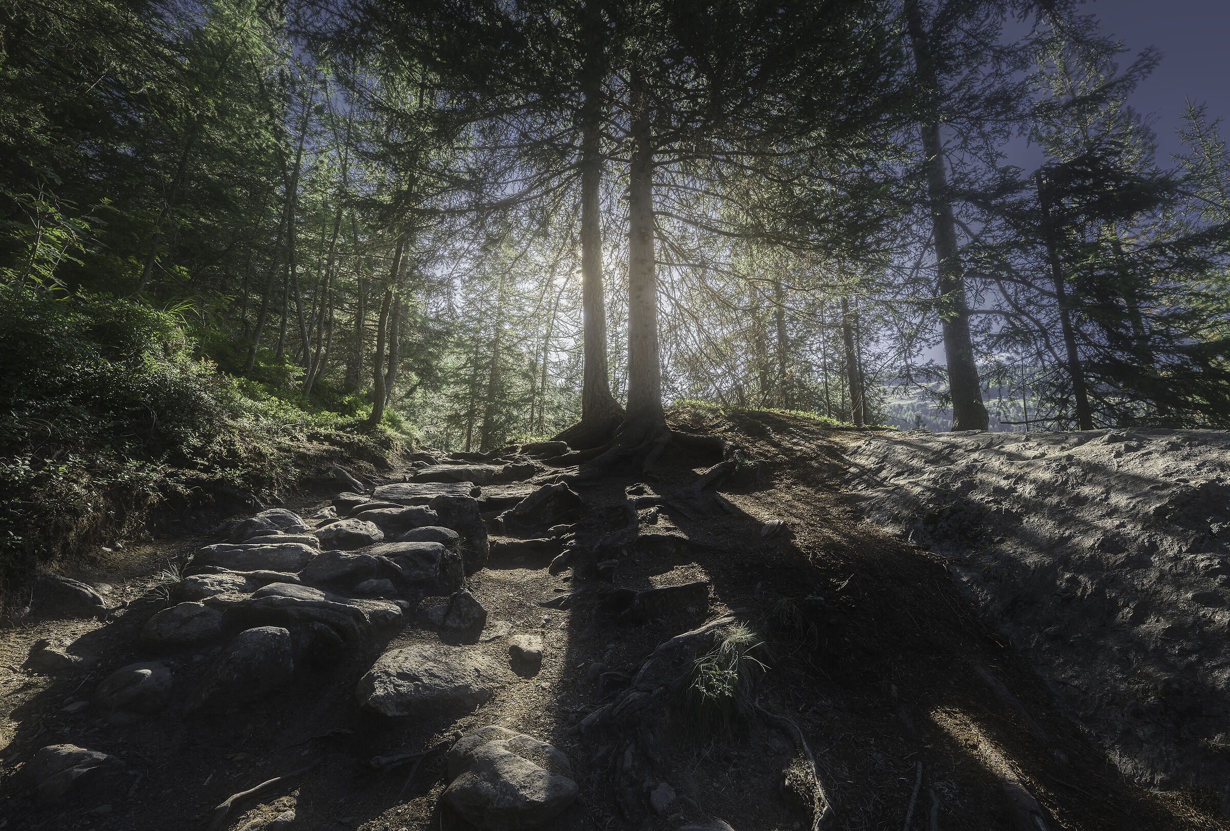 Path by the Rutor stream. Aosta Valley