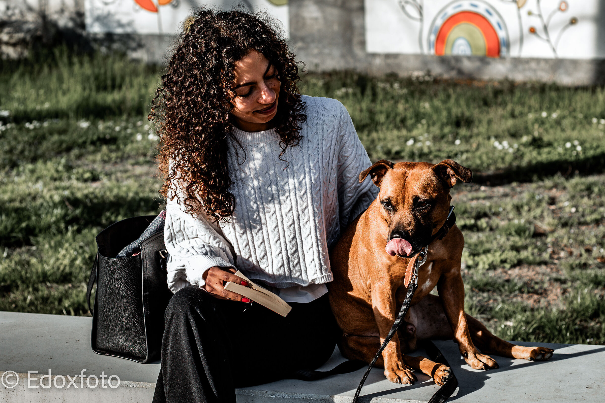 Un amore a quattro zampe