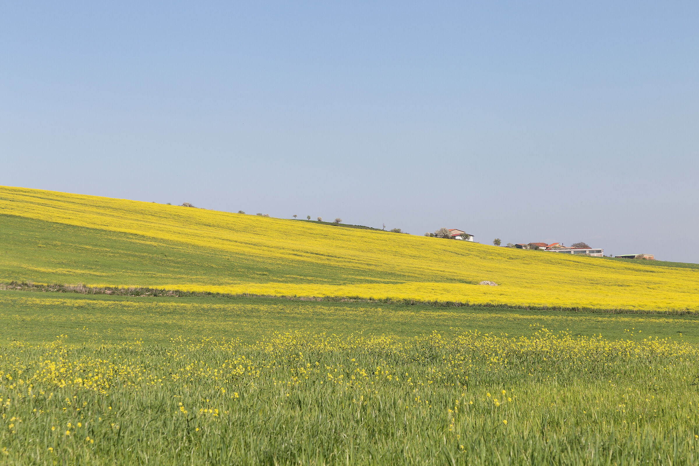 tra bisaccia e calitri