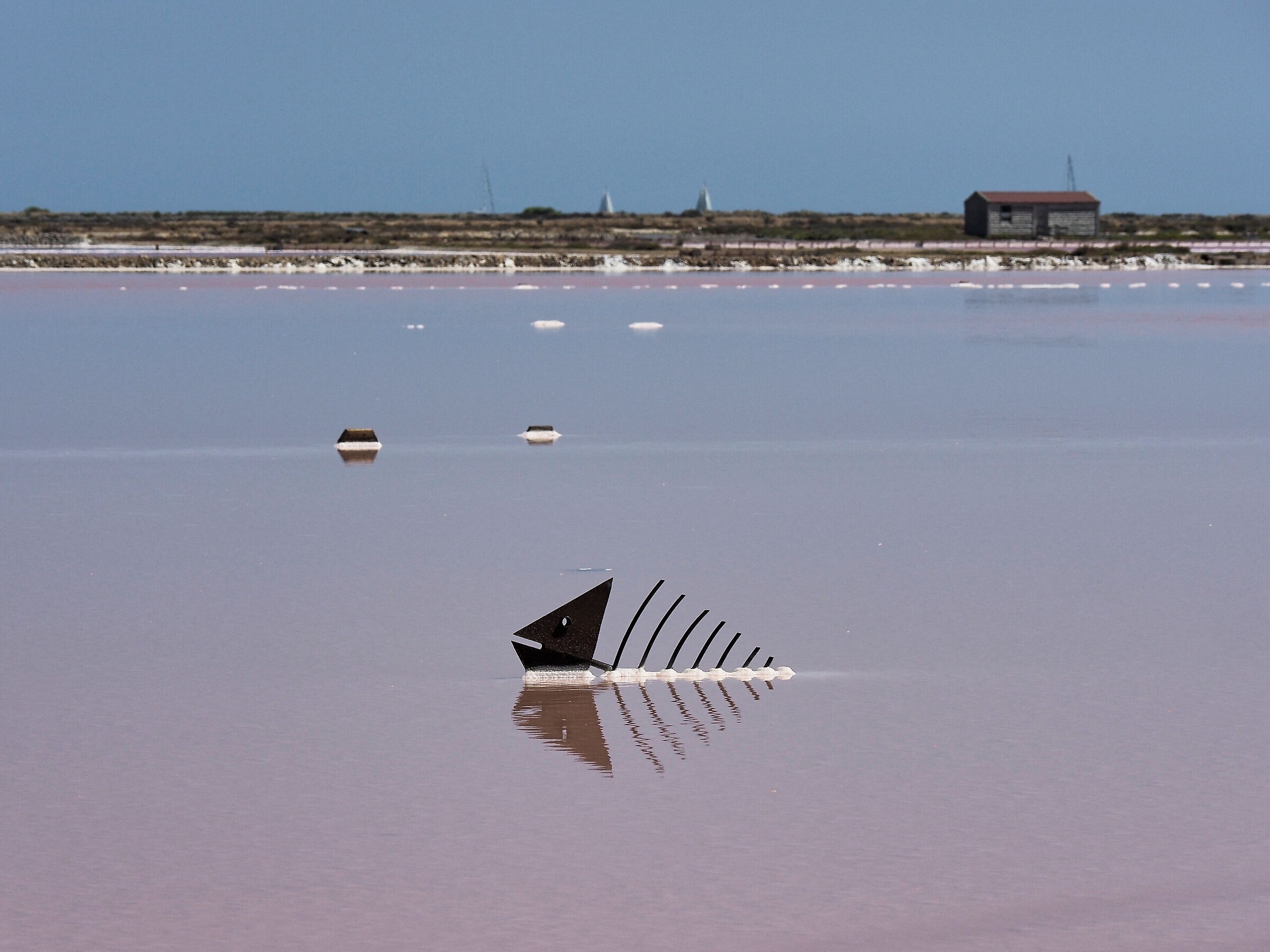 GRUISSAN_2024 (_8222053-1)