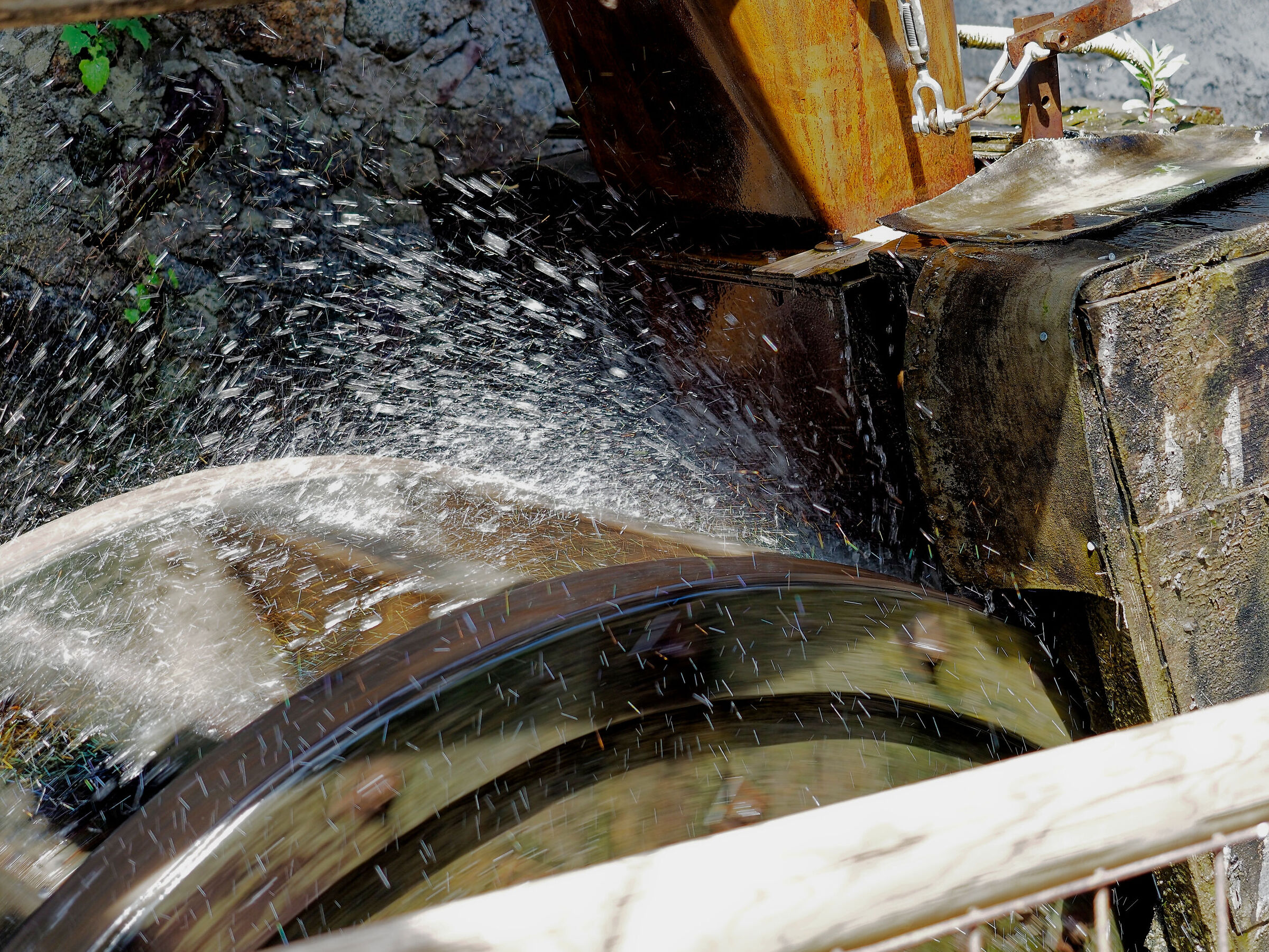 BIENNO_2024 (_5110194-1)