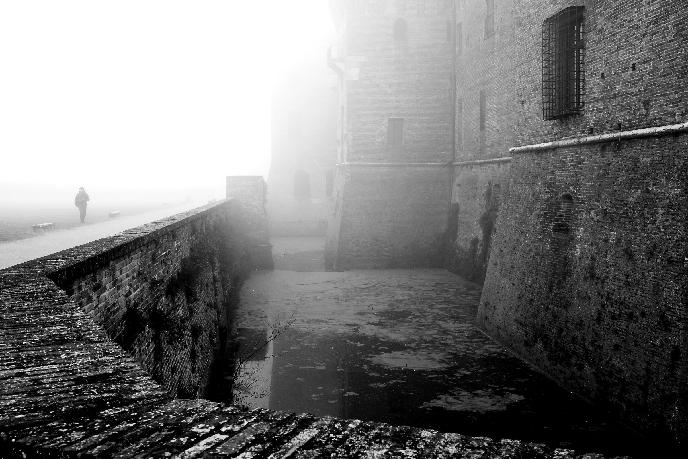 I'm lost in the caigo