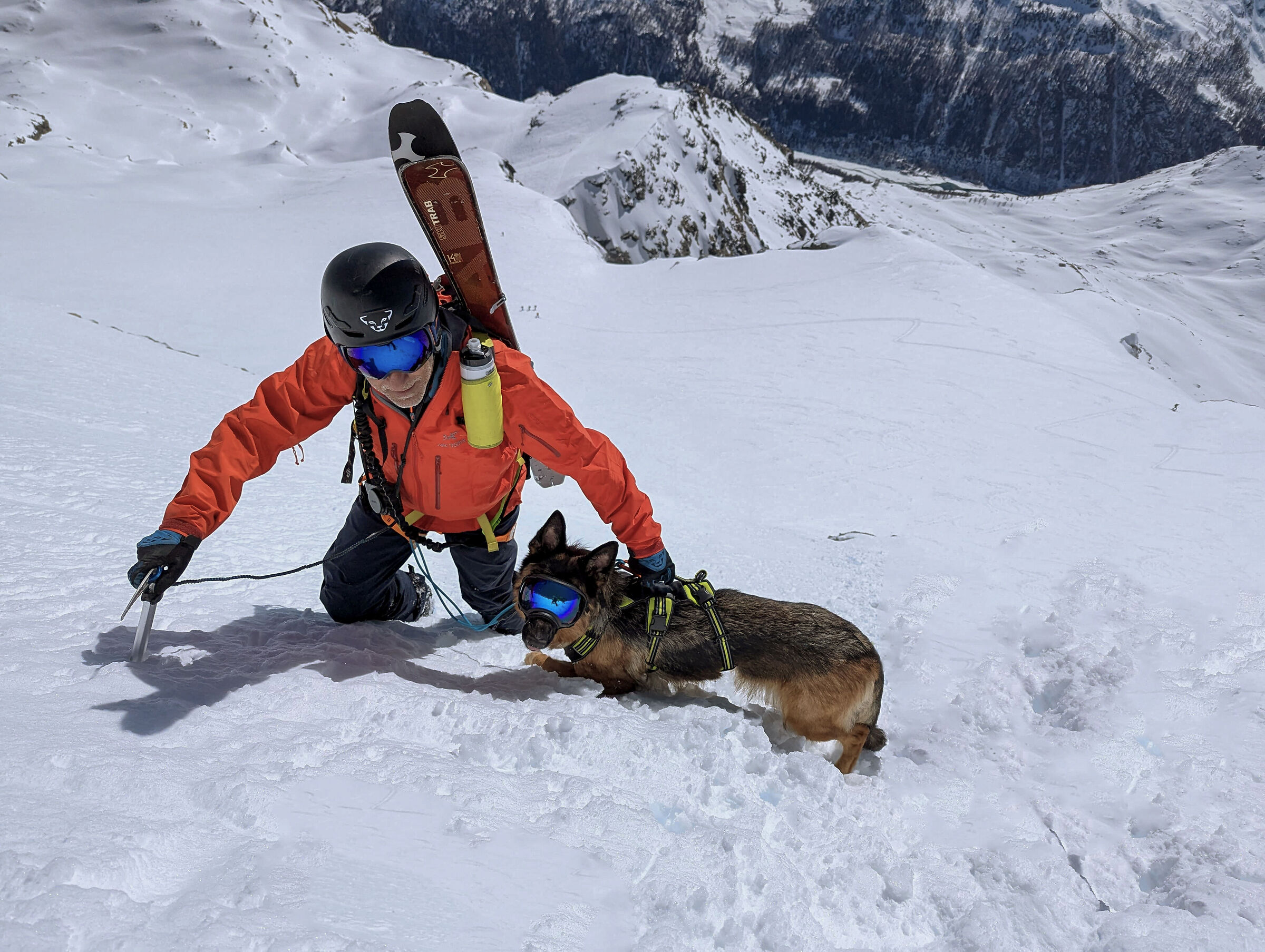 Mountain highs, dog by my side