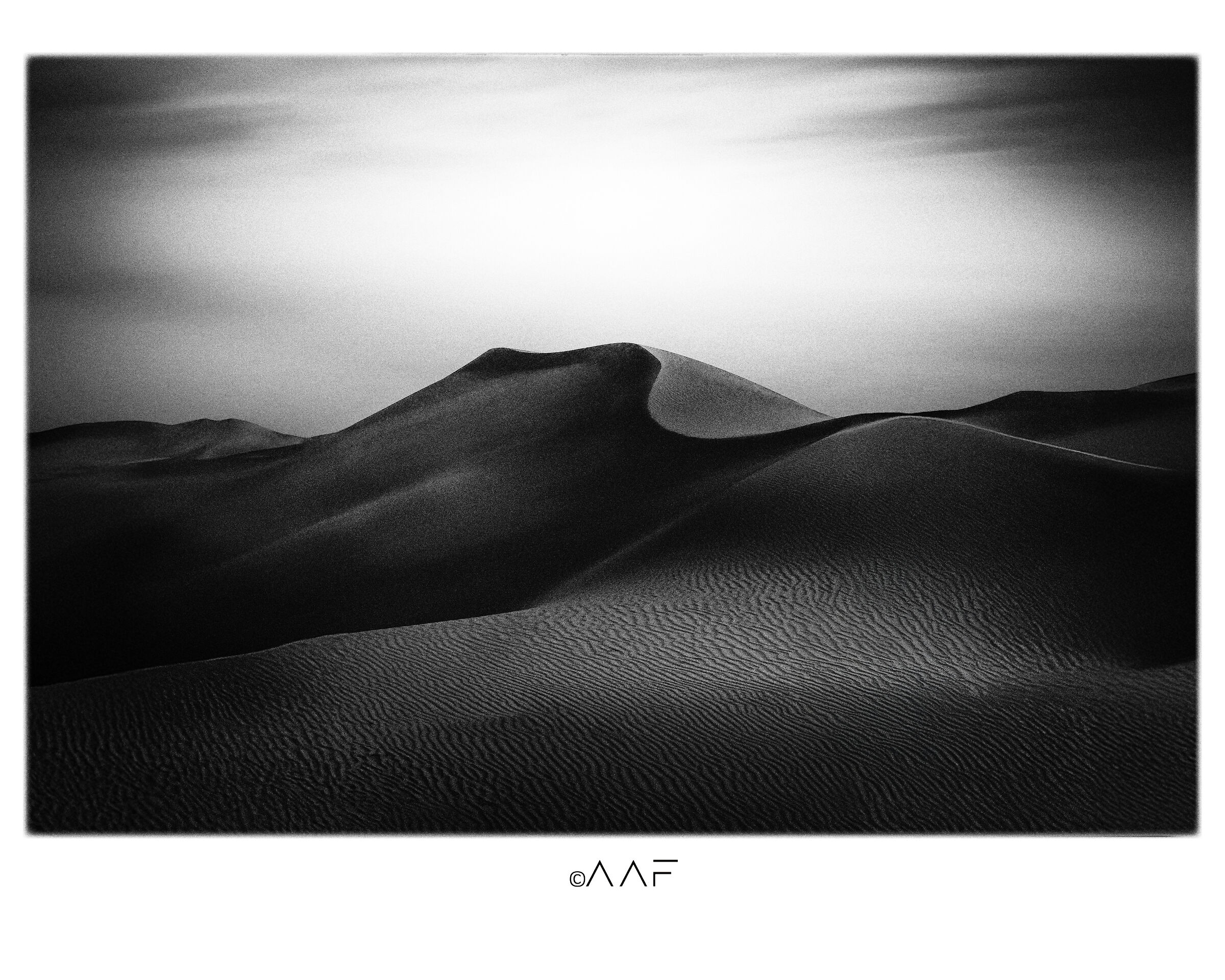 Tozeur - 2003 ( archivio analogico, ilford HP5 )