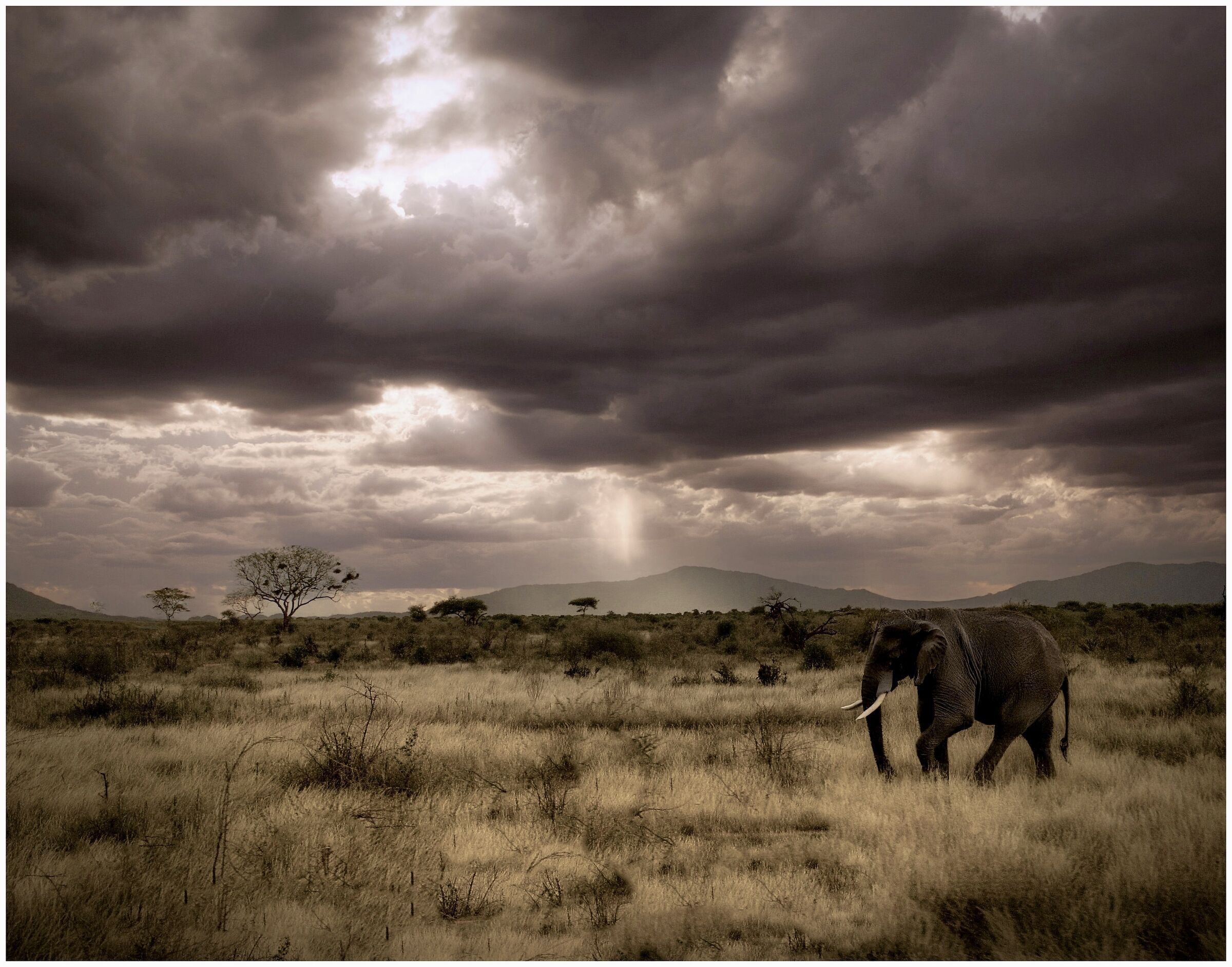 Kenya