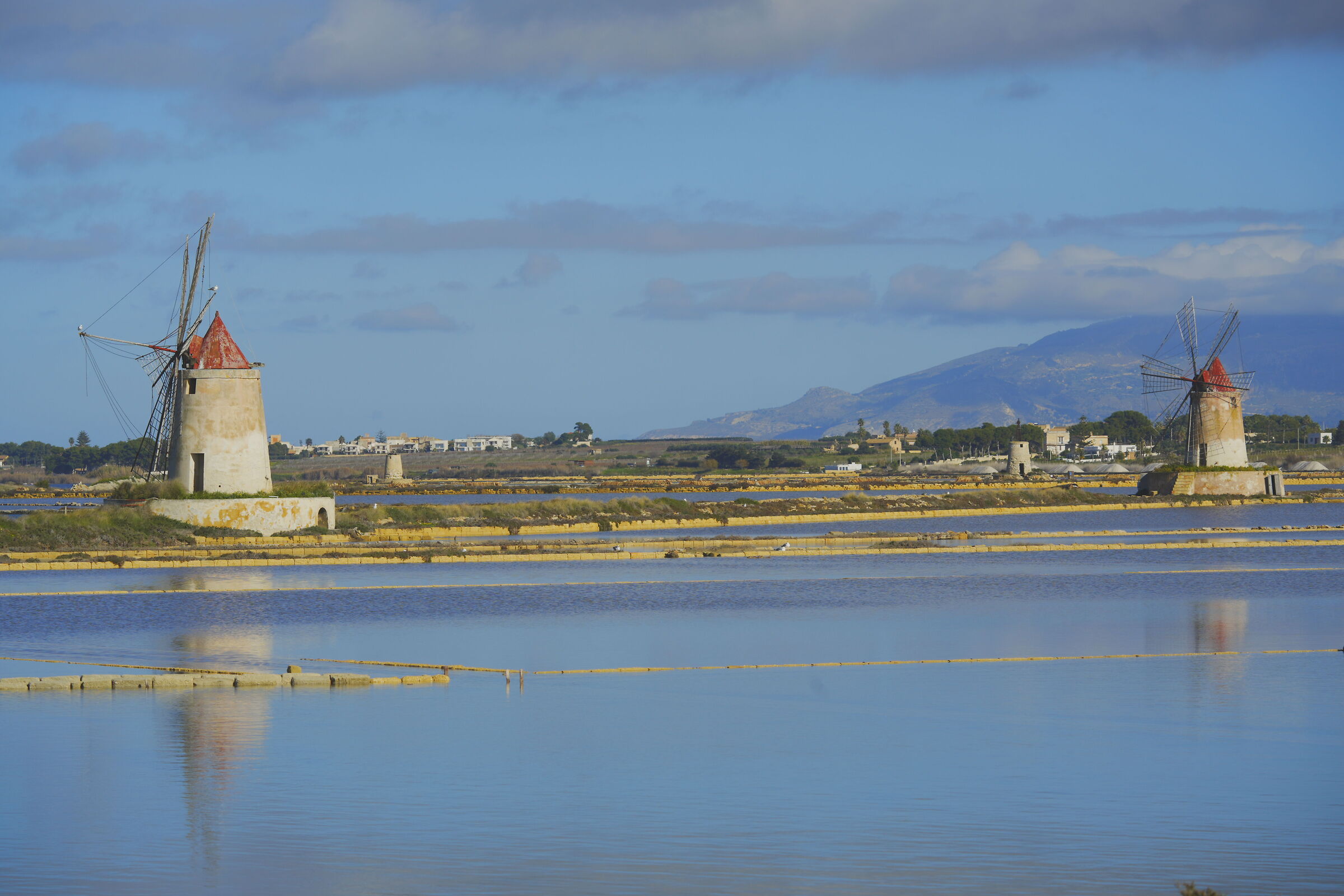 Marsala