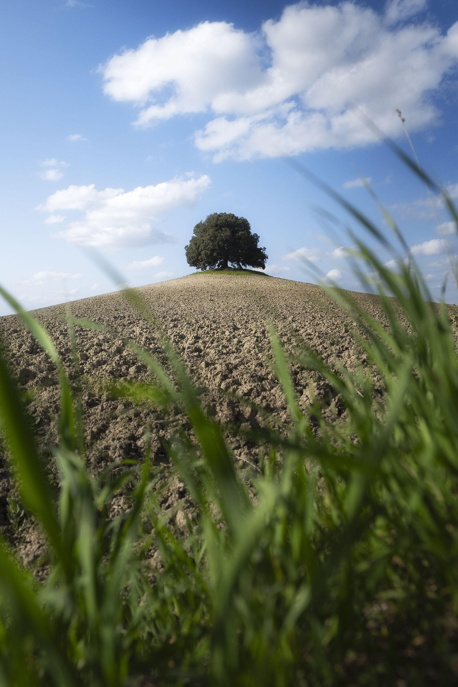 The Keeper of Memories