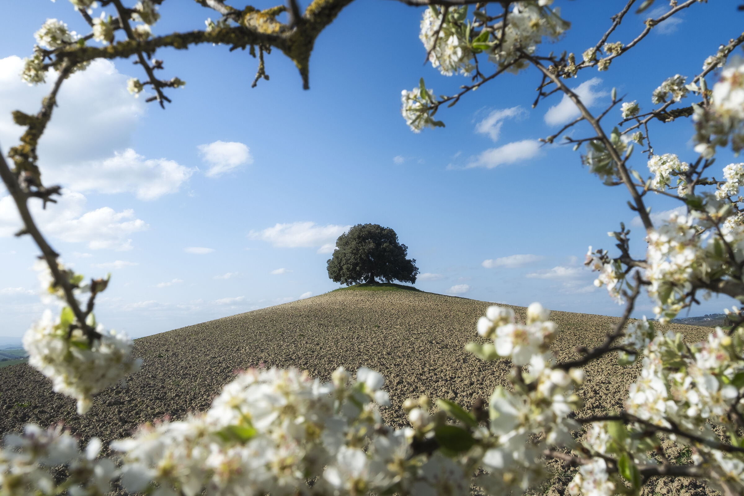 The Keeper of Memories